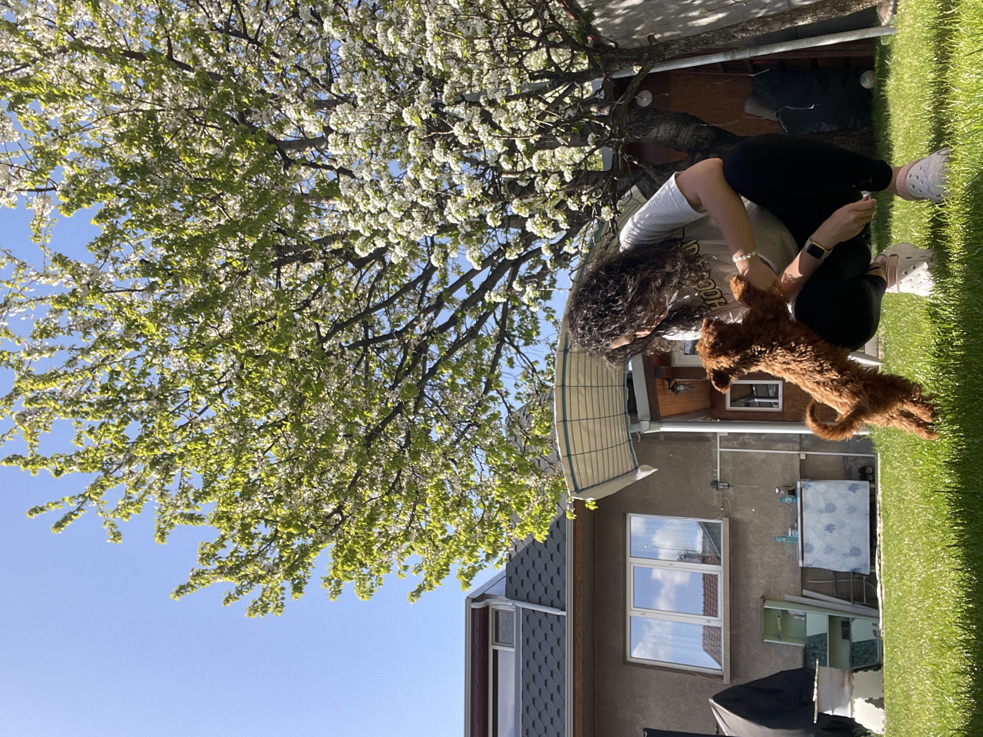 Woman and small dog enjoy sunny afternoon in Sofia backyard