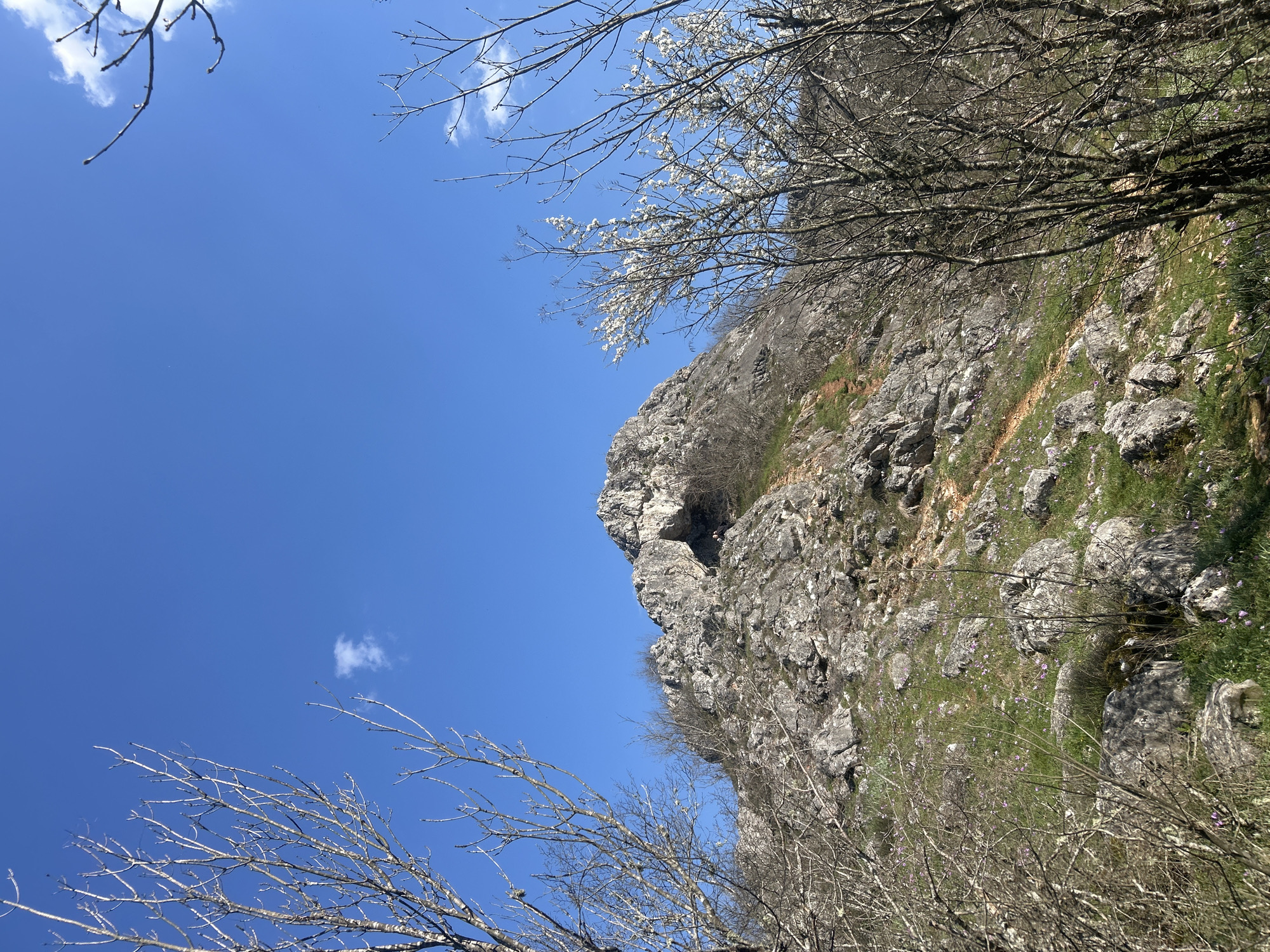 Group explores natural areas around Mladezhko, Bulgaria during spring outing