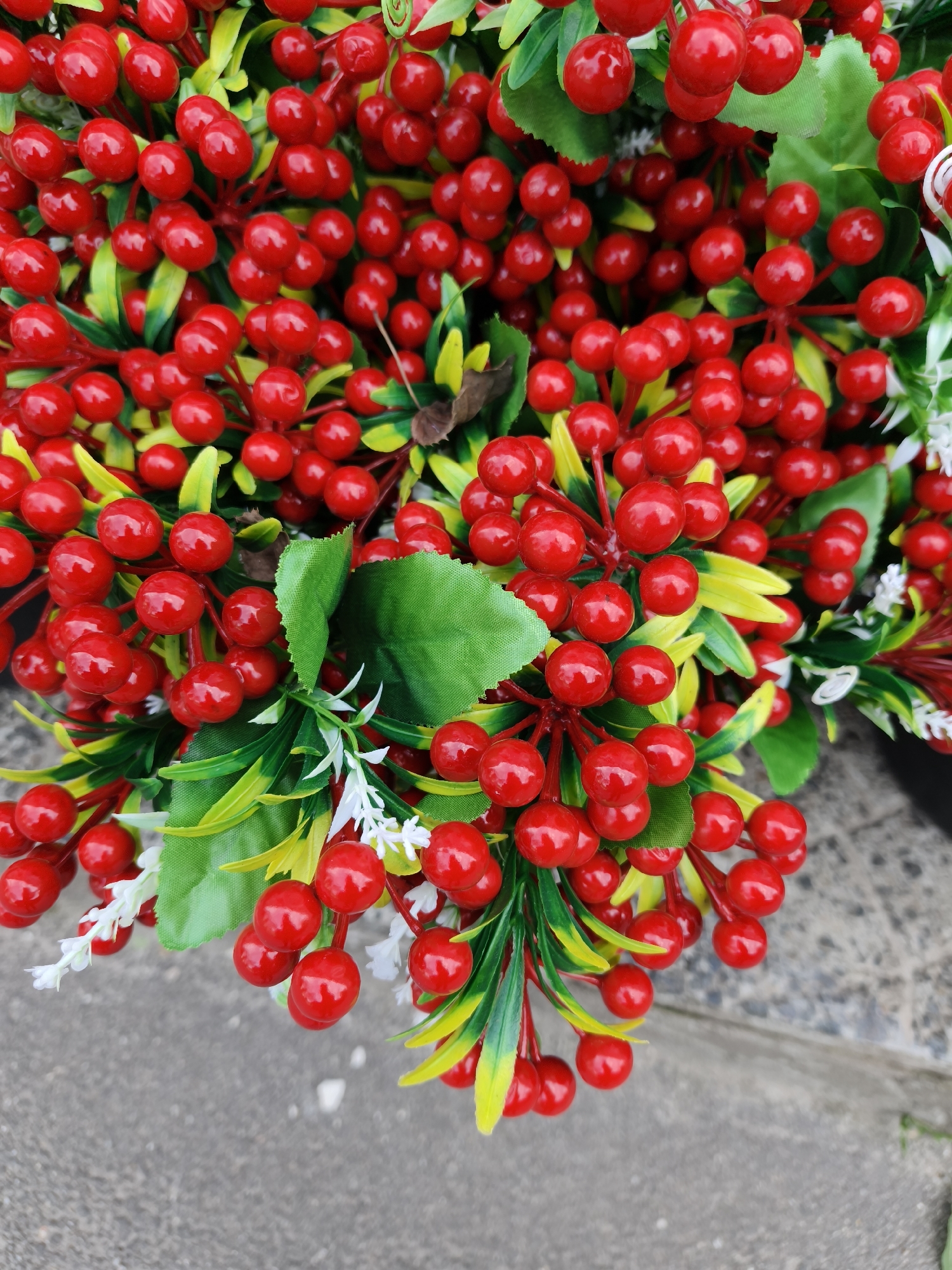 Morning documentation captures decorative scenes around Kryvyi Rih cafe