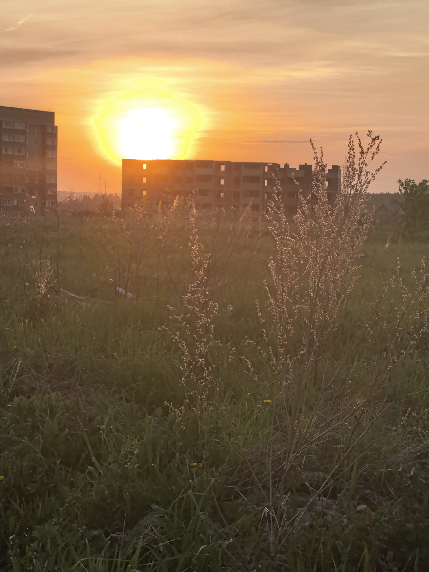 Sunset documented over grassy field in Фролы, Russia