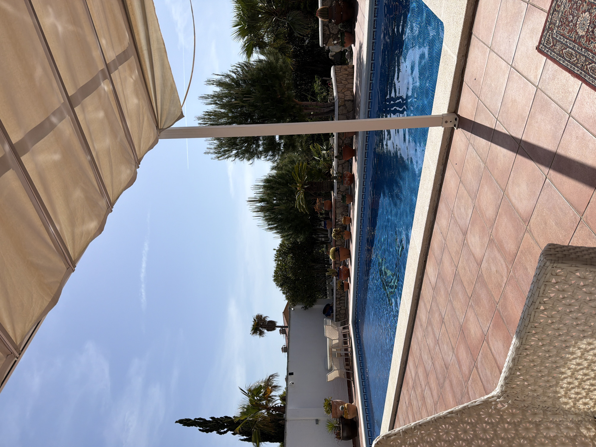 Morning pool scene documented in Mont-roig del Camp, Spain