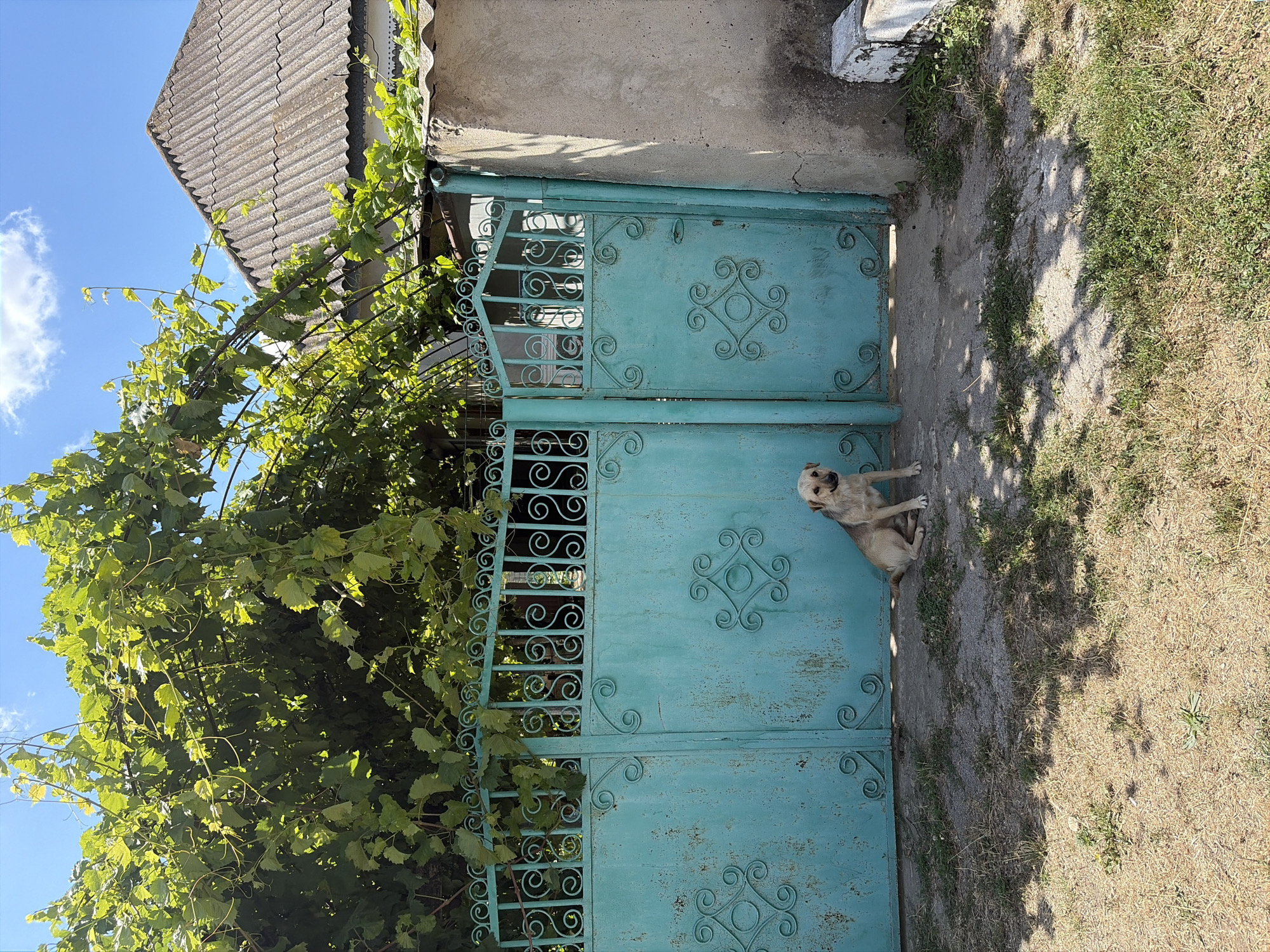 Oxentea, Moldova