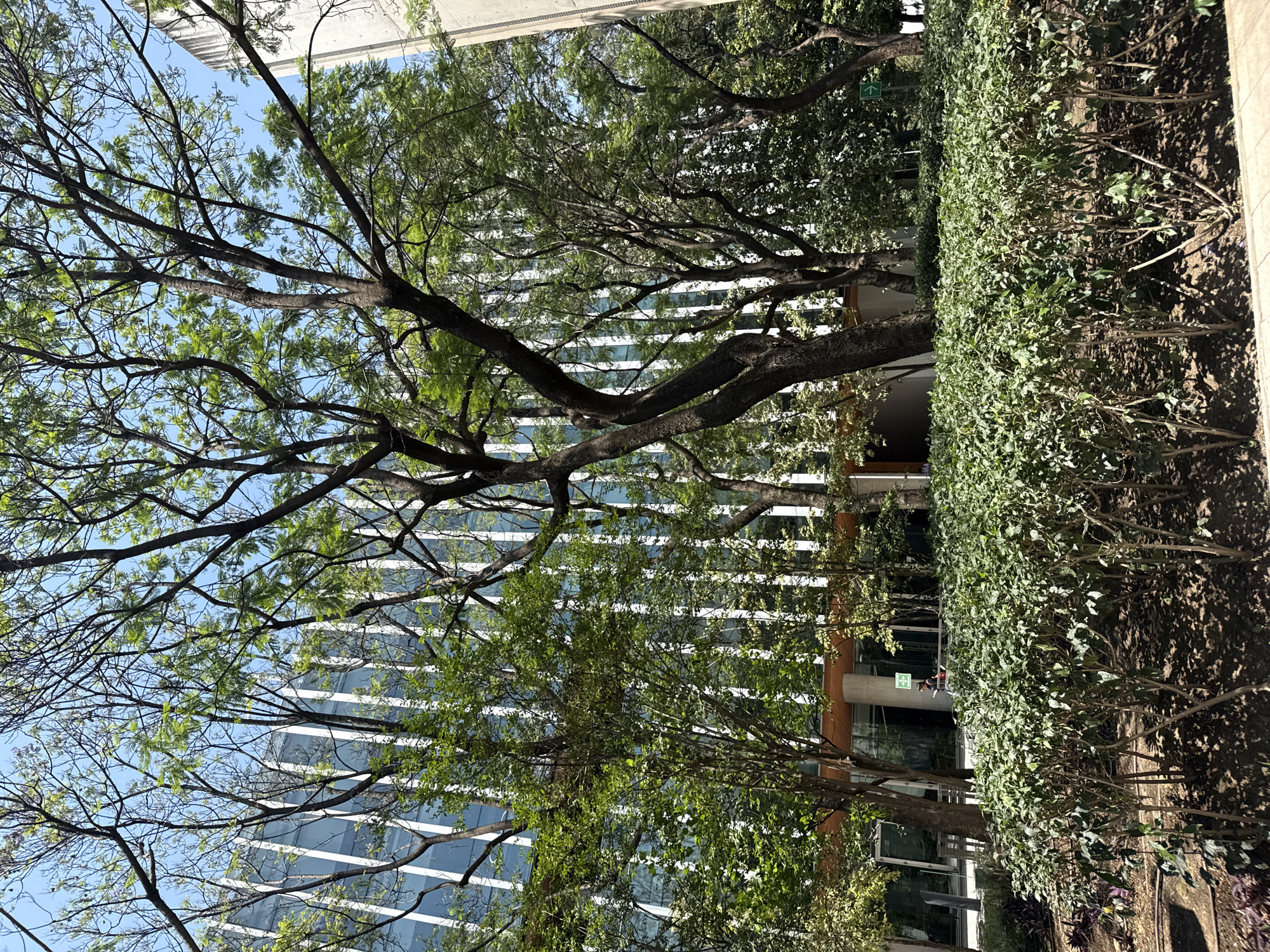 Person moves through sunny Mexico City locations Tuesday evening