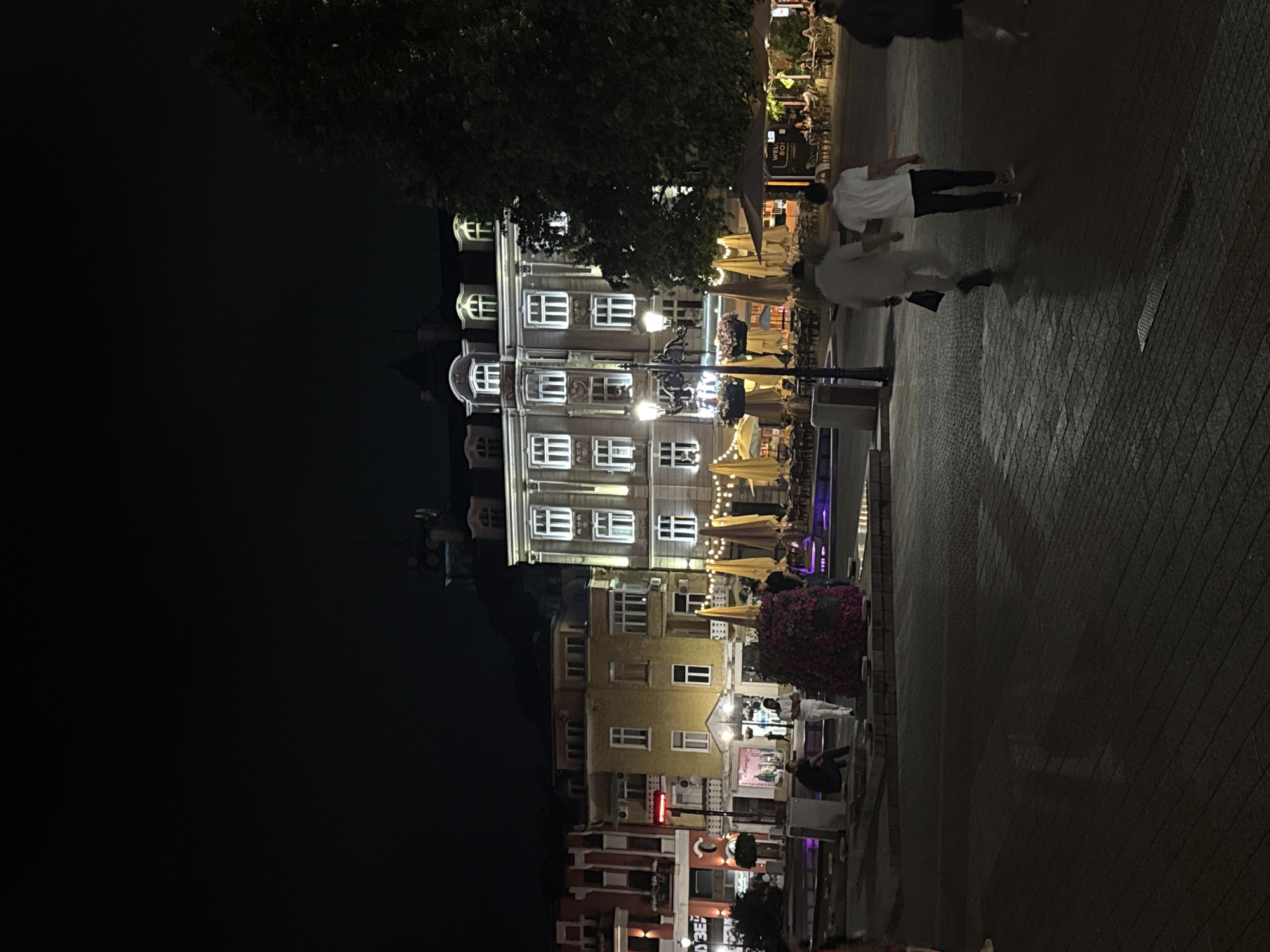 Young adults enjoy karaoke night out in Plovdiv, Bulgaria