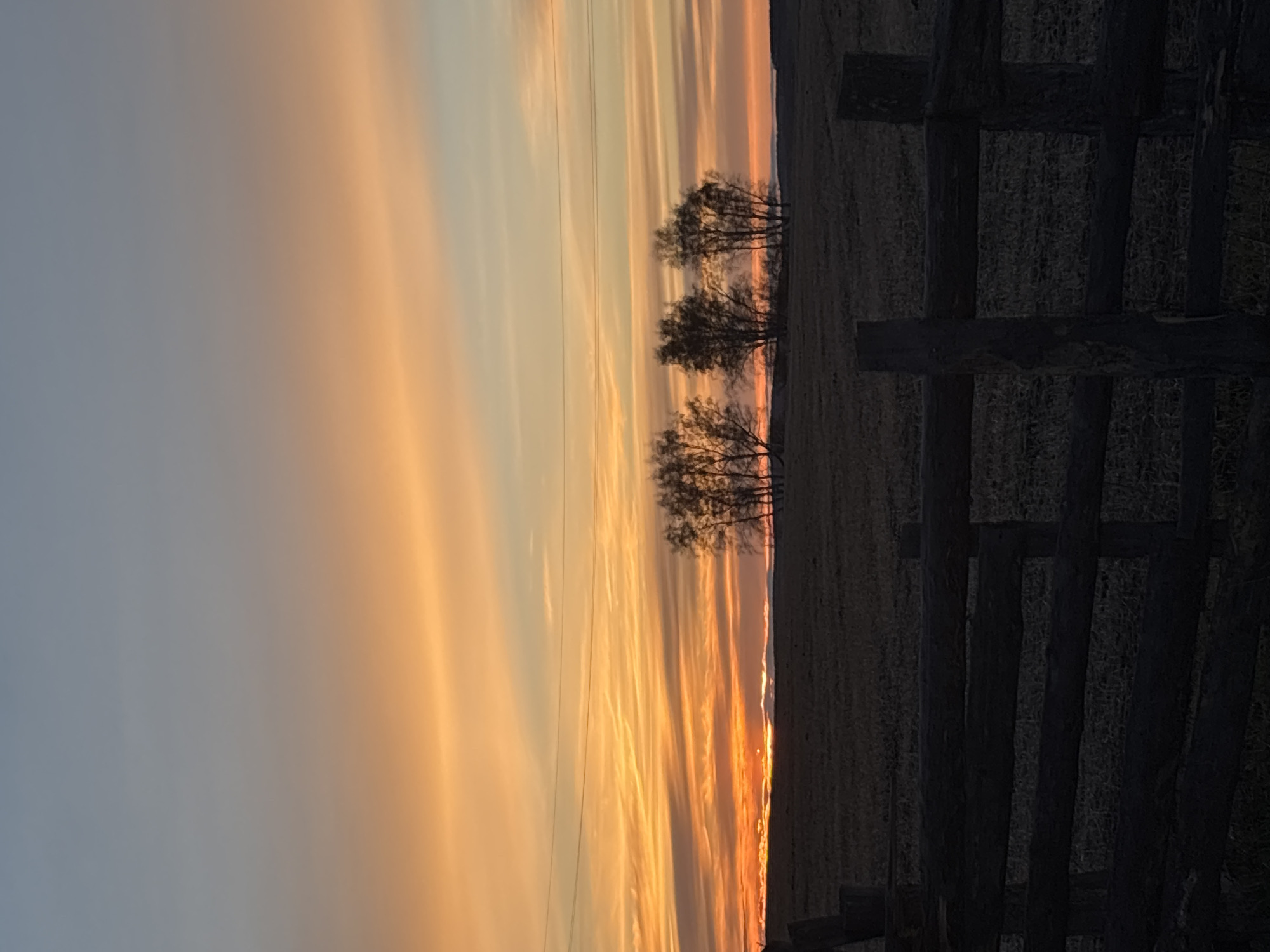 Sunset illuminates rural landscape with silhouetted trees in Olzony