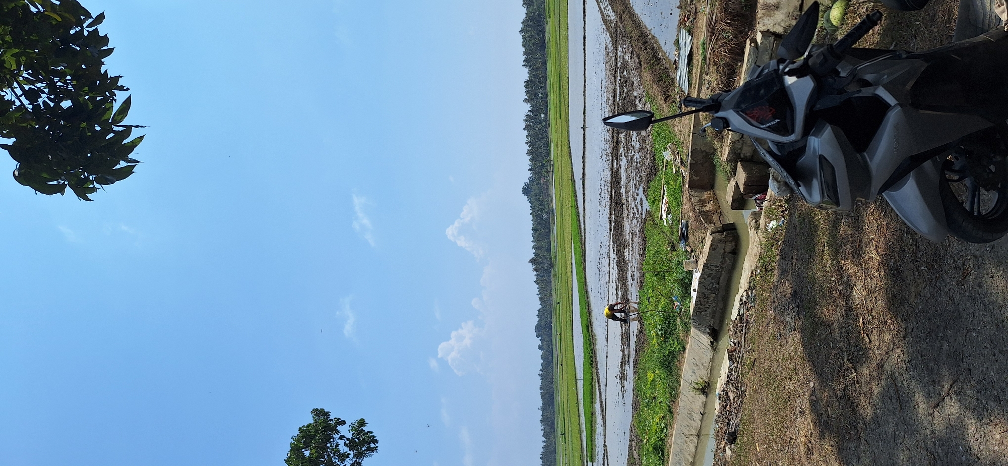 Motorcycle parked along rice fields on a sunny day in rural Indonesia