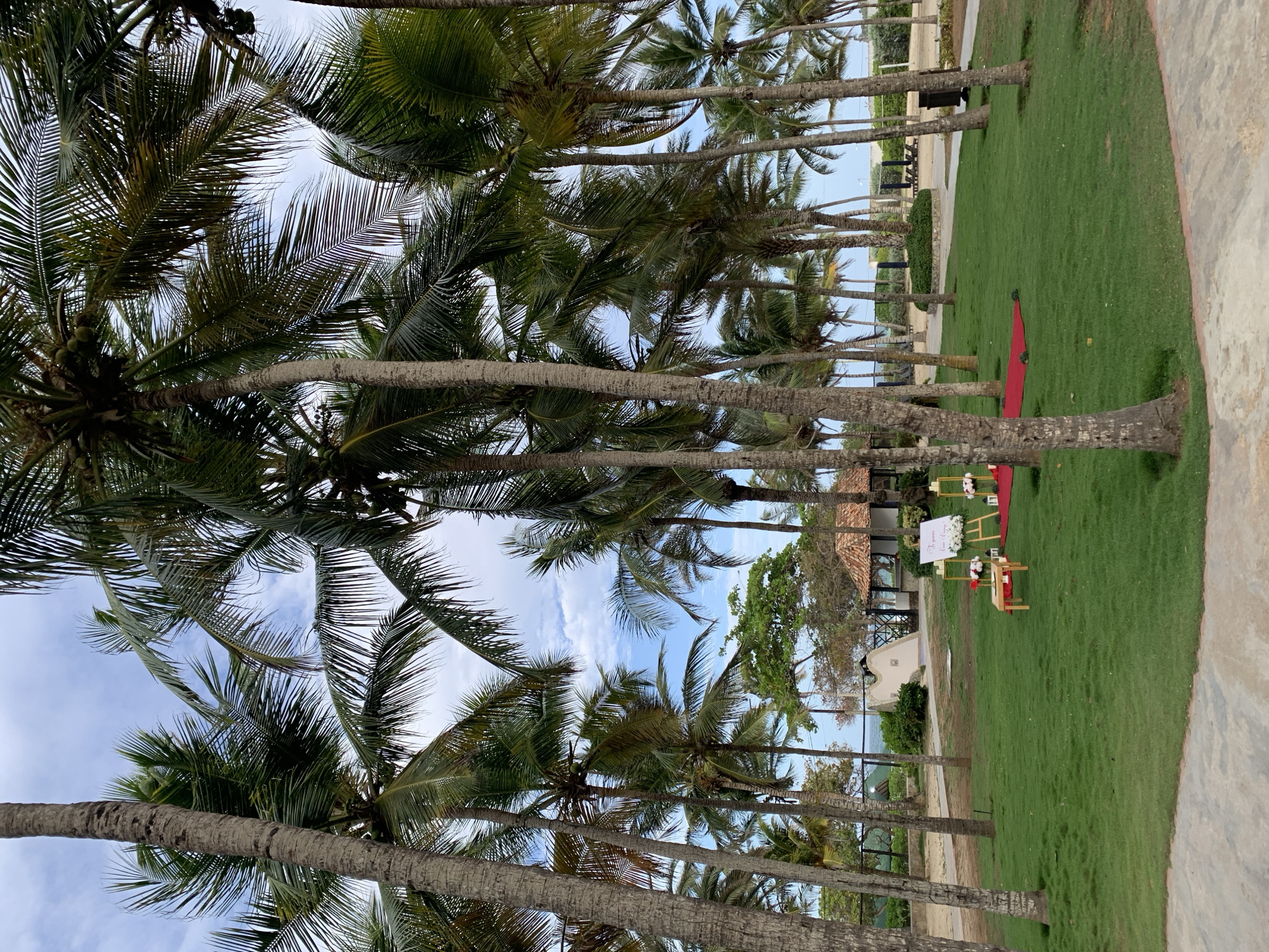 Tropical wedding ceremony setup documented in El Tirano, Venezuela