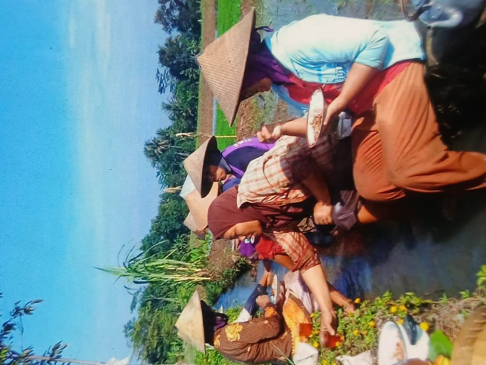 Morning life in Setia Bakti: fields, food, and streets in motion