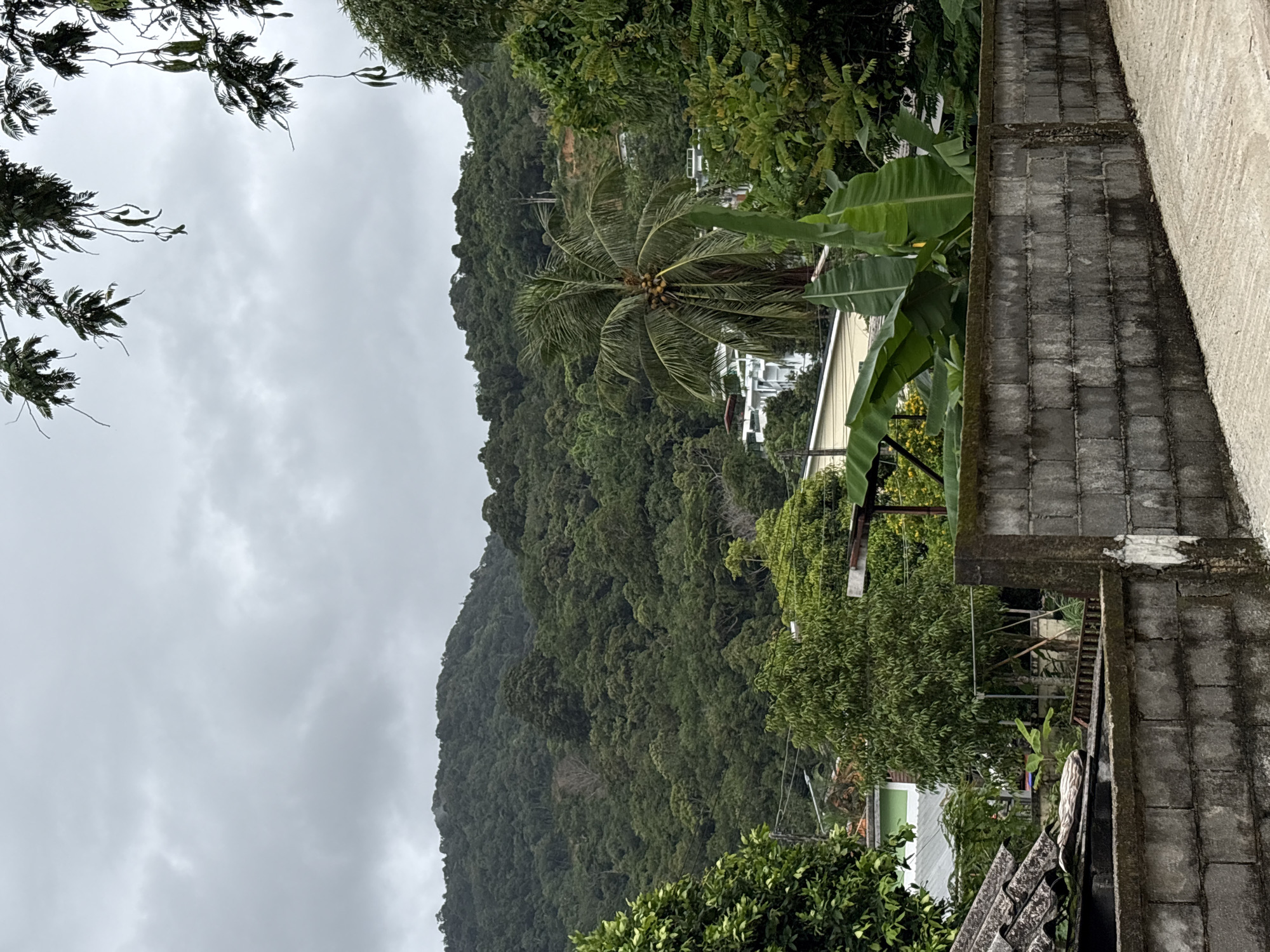 Tropical garden life and local guesthouses in Choeng Thale