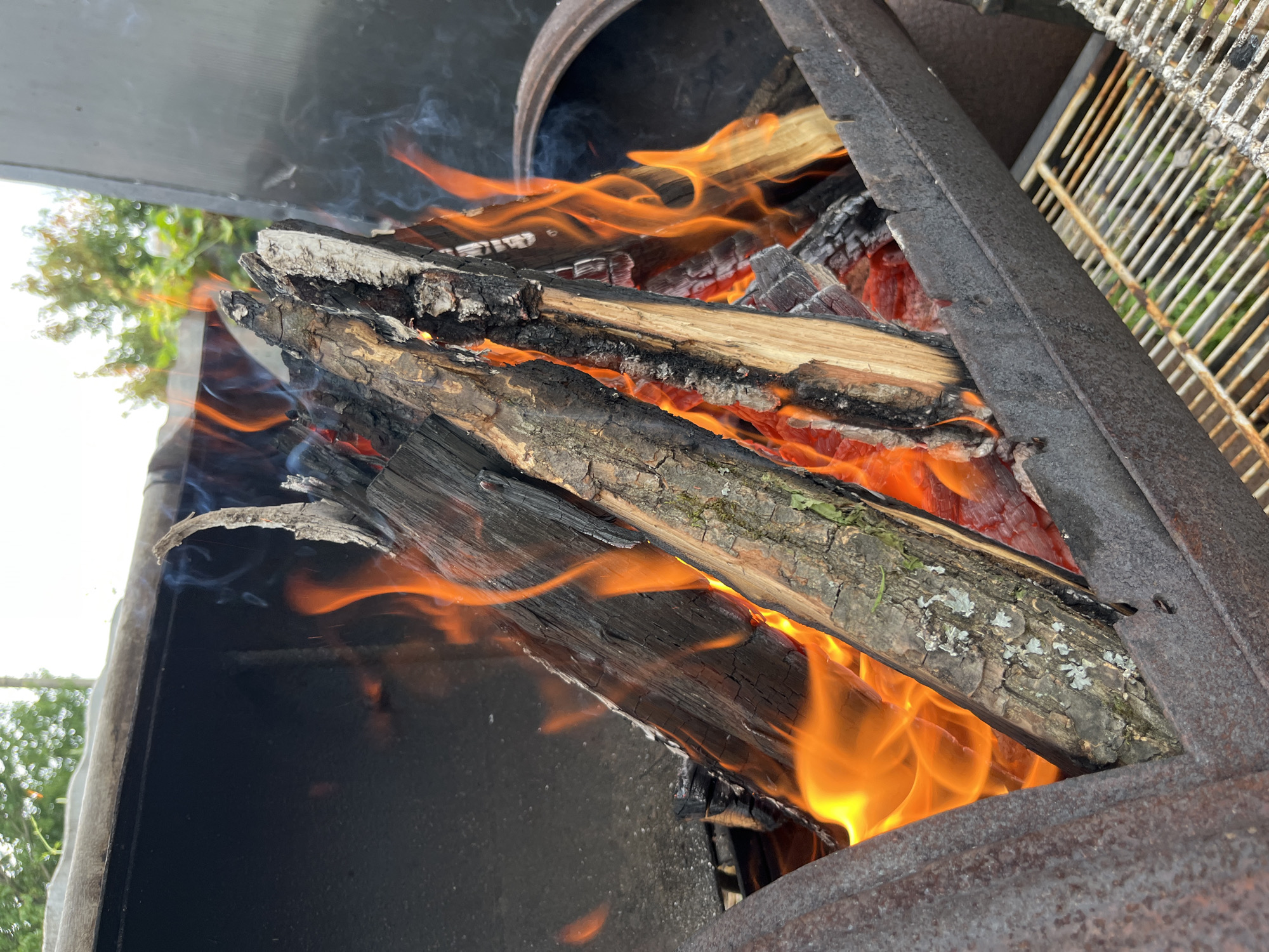 Backyard fire and a German Shepherd, Vvedenka