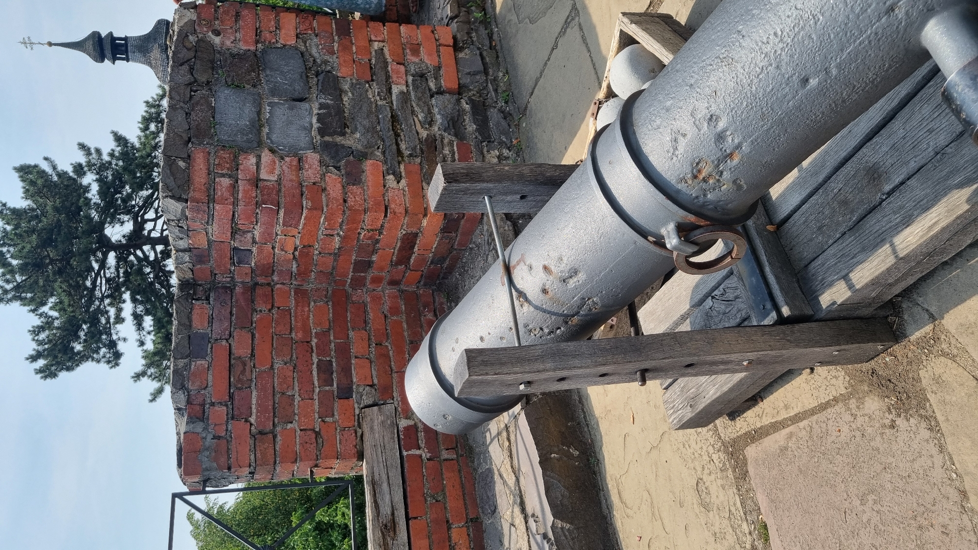 Exploring Uzhhorod's castle, cathedrals, and city details