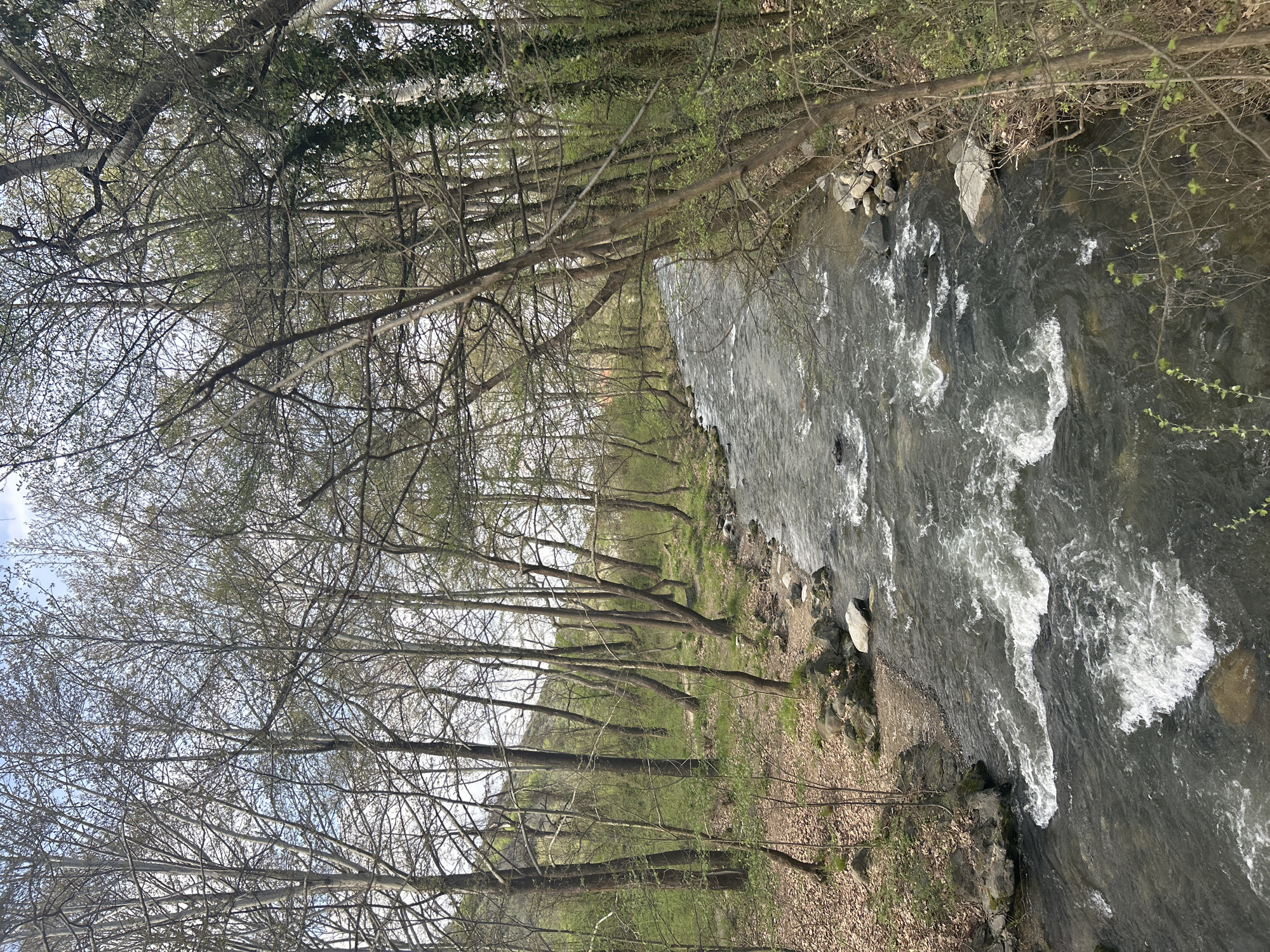 Photographer documents spring river scenery in Parvenets, Bulgaria