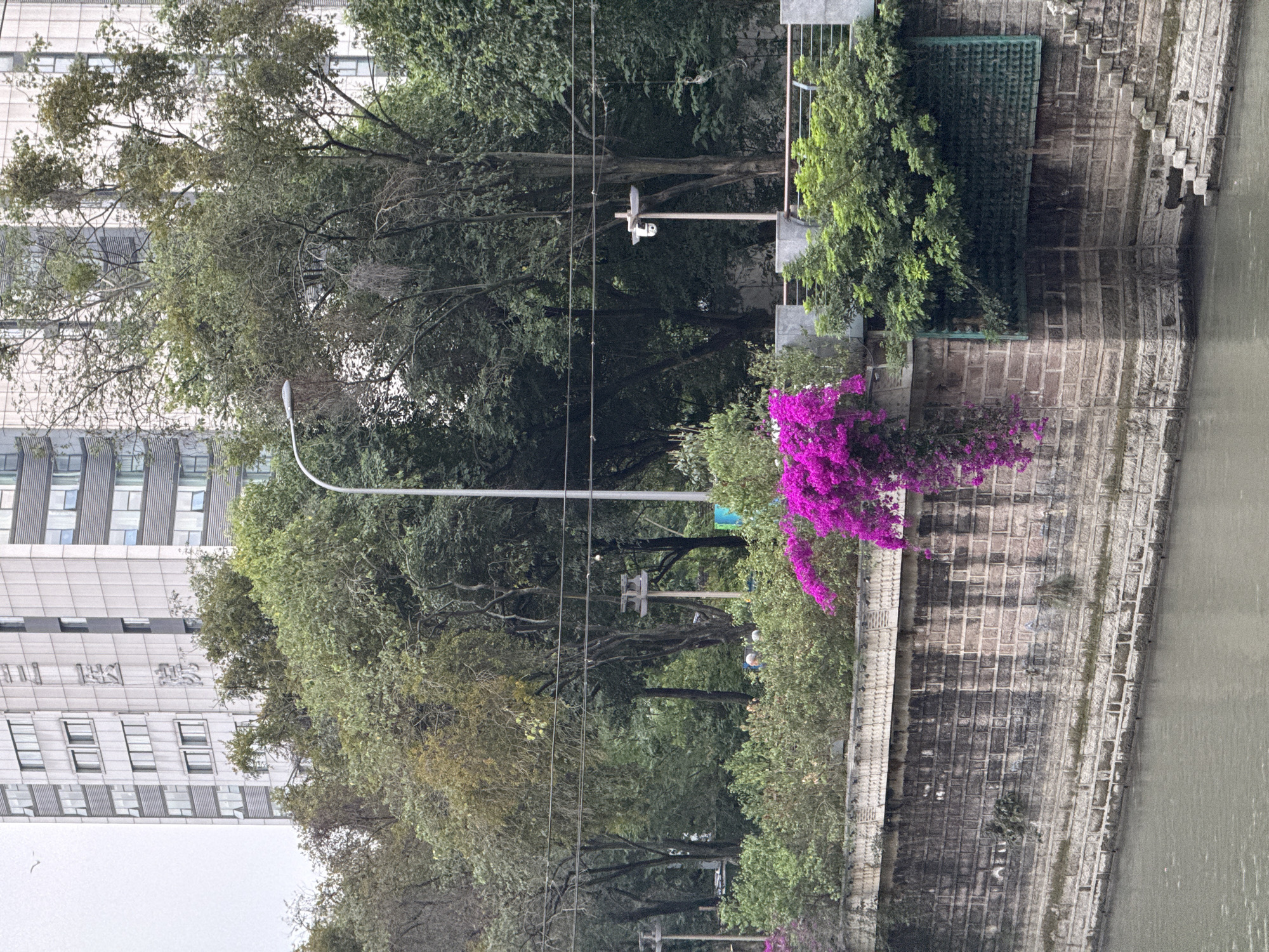 Chengdu waterways documented in morning walk through city districts