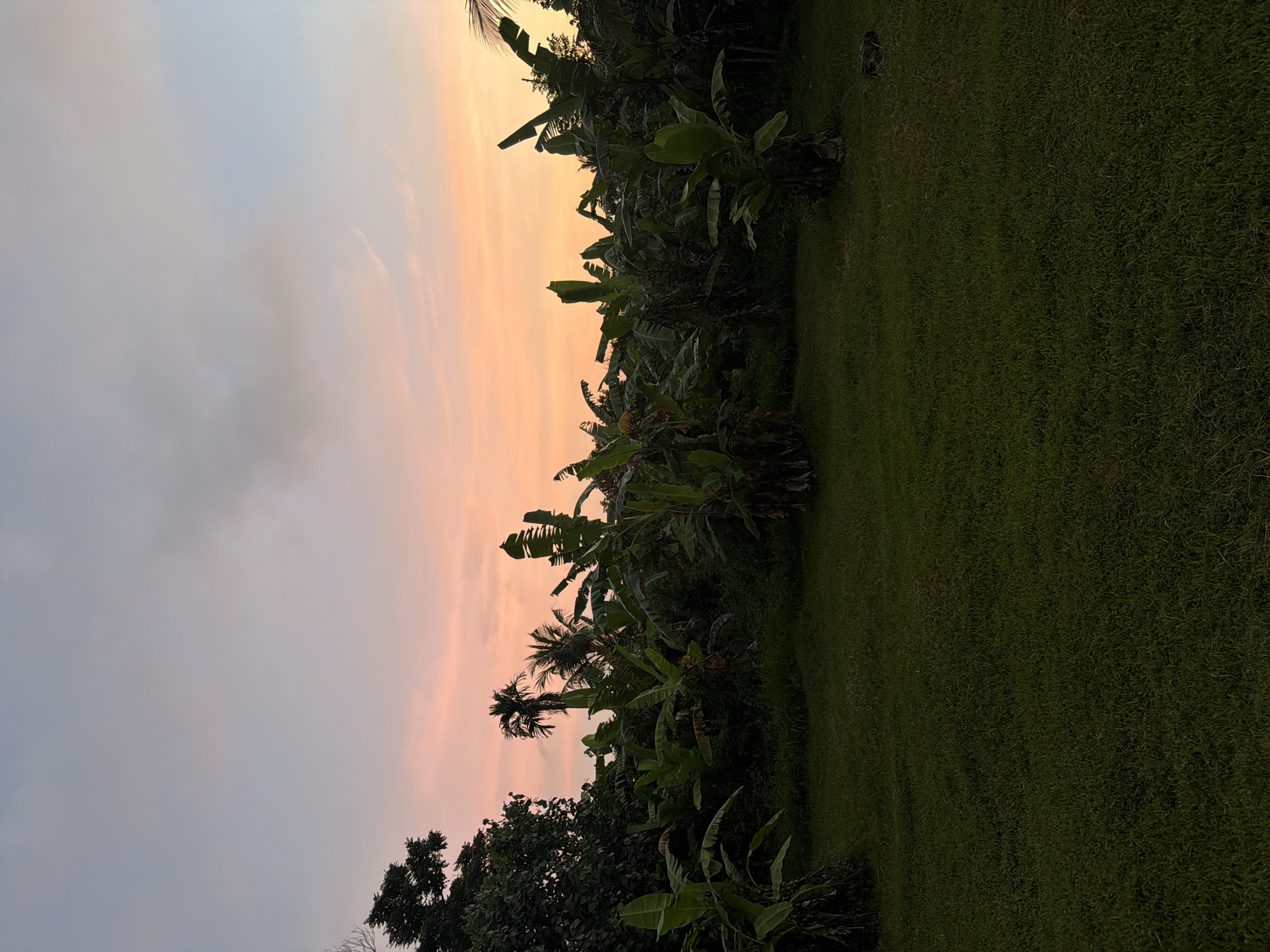 Woman photographed during sunset session in Ubud tropical gardens