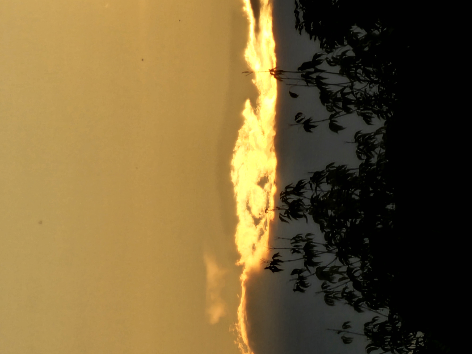 Golden sunset blazes through clouds over Khimki tree line