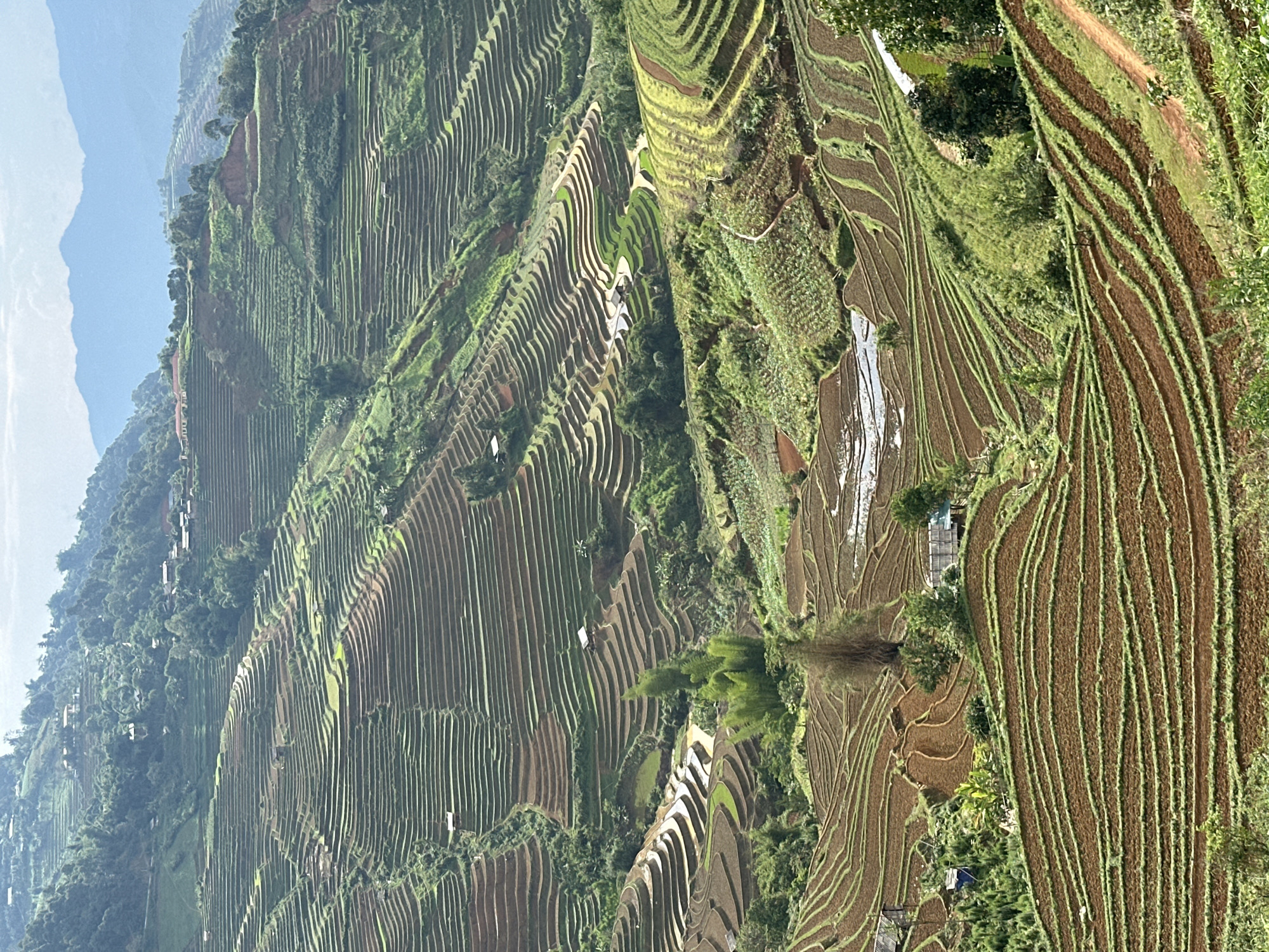 Tourists document scenic terraced rice fields in Lao Chai Vietnam