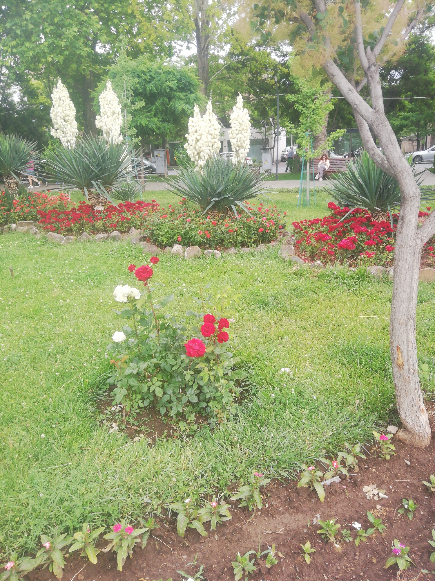 Afternoon in Yerevan parks and streets