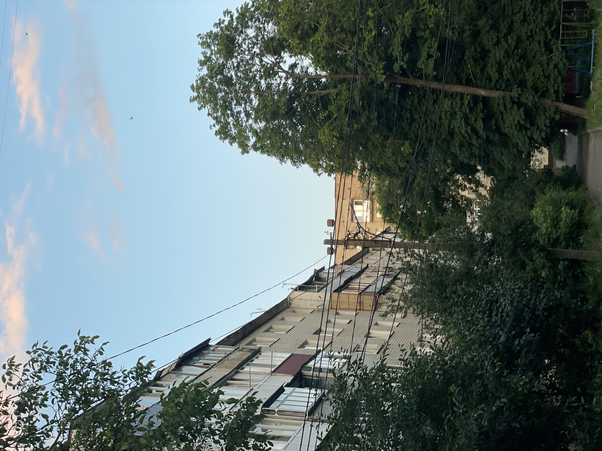 Evening stroll through Khmelnytskyi — streets, parks, and summer blooms