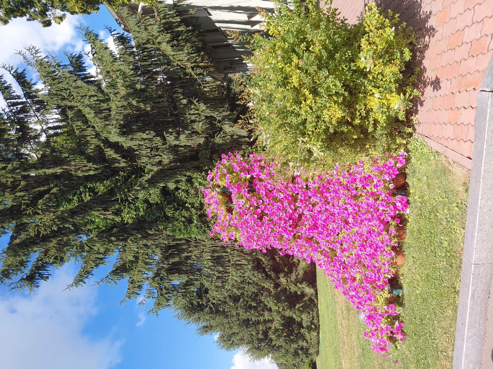 Kovalivka's ornate park gardens in full summer bloom