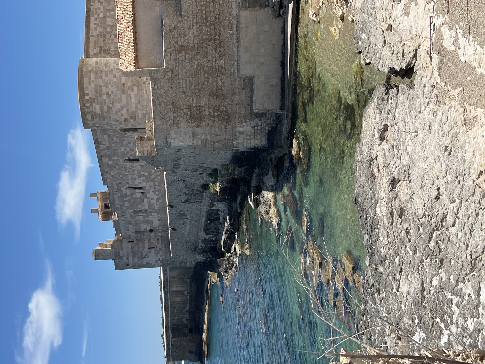 Medieval fortress and blooming red bush at Ortigia's tip