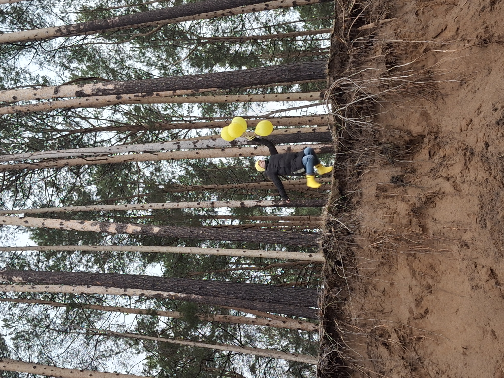 Person with yellow balloons enjoys afternoon outing in Chaikovsky