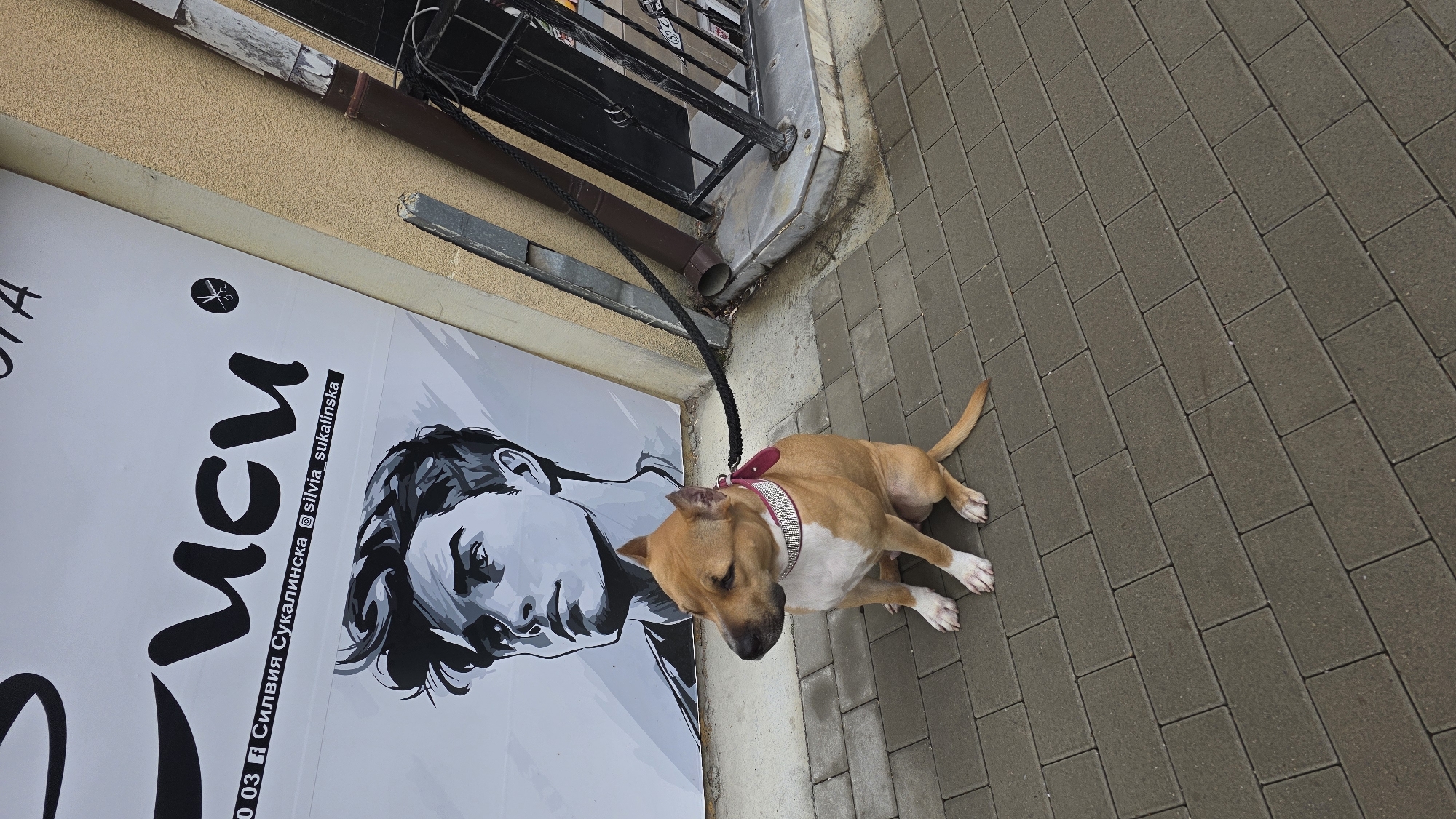 Morning street scenes documented across Blagoevgrad, Bulgaria
