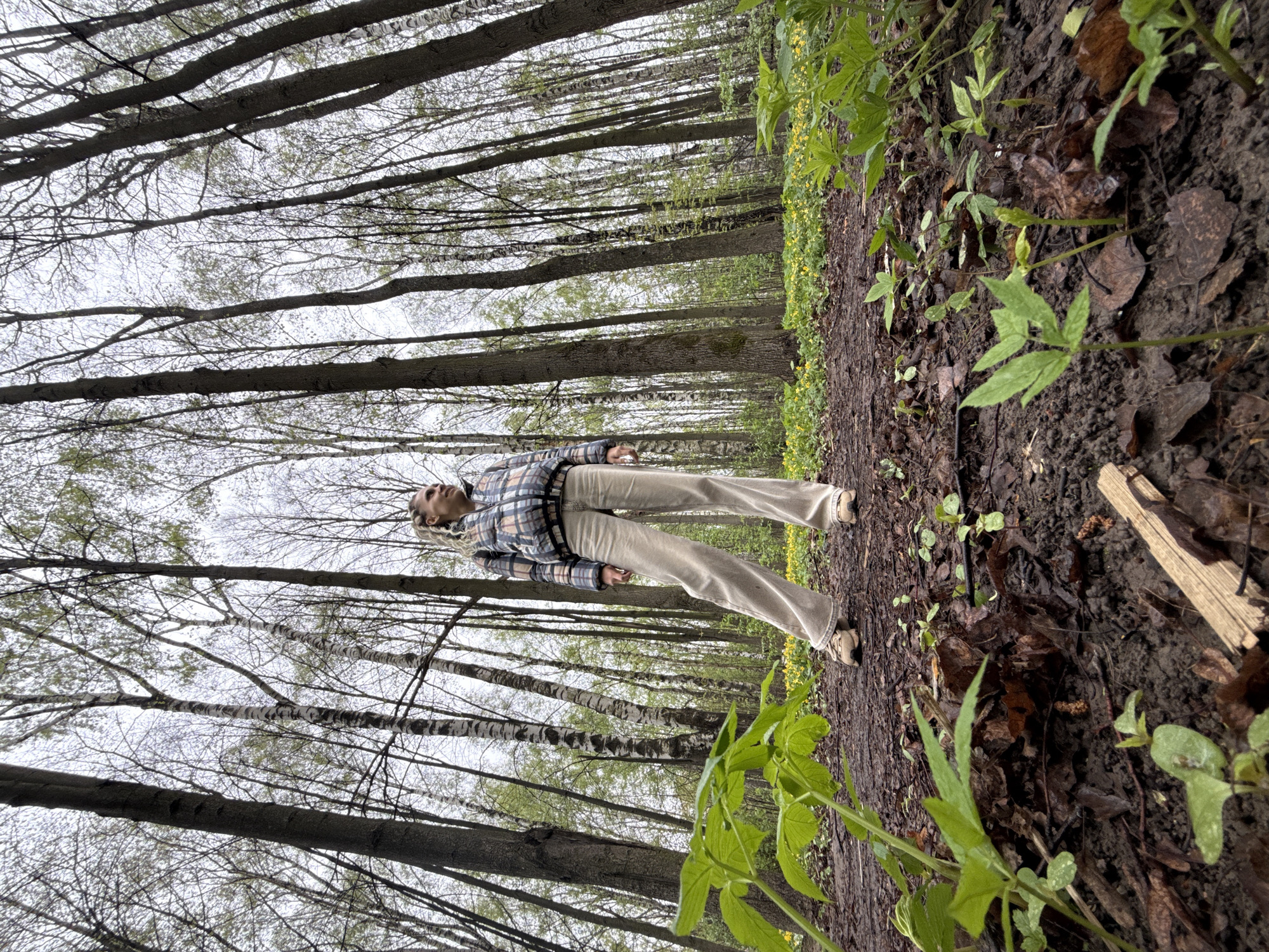 Person in plaid jacket spotted in Yaroslavl forest