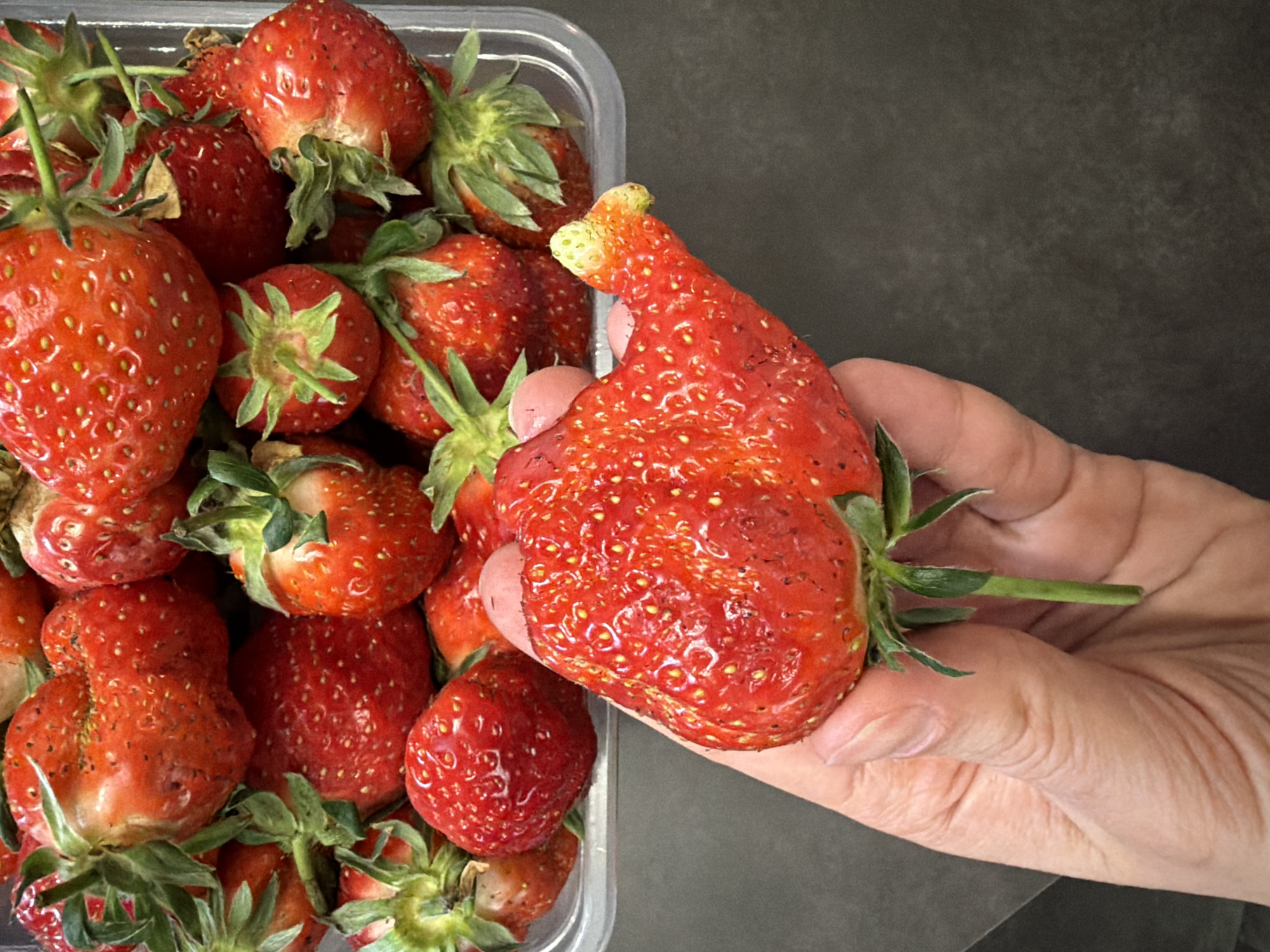 Moscow resident prepares homemade caramel sauce with fresh strawberries