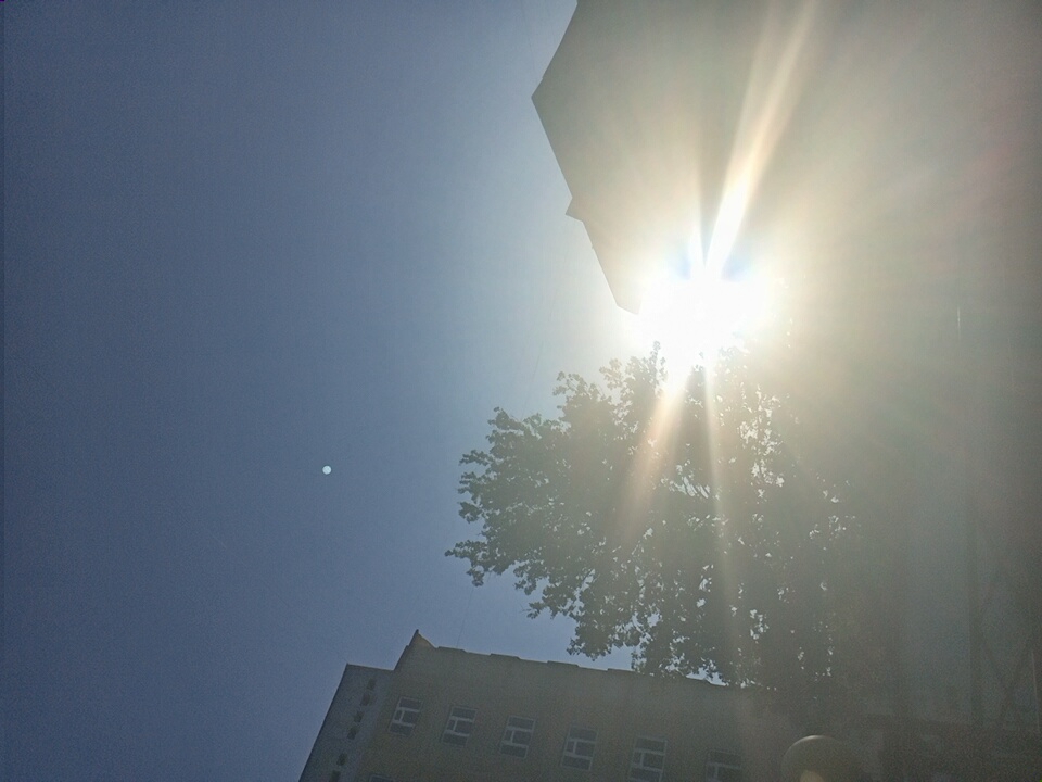 Sunny afternoon in Angren — city streets and summer garden details