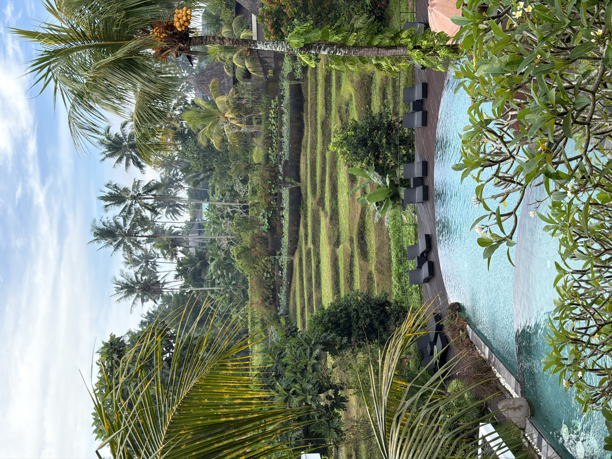 Tropical landscape view captured from elevated Ubud District vantage point