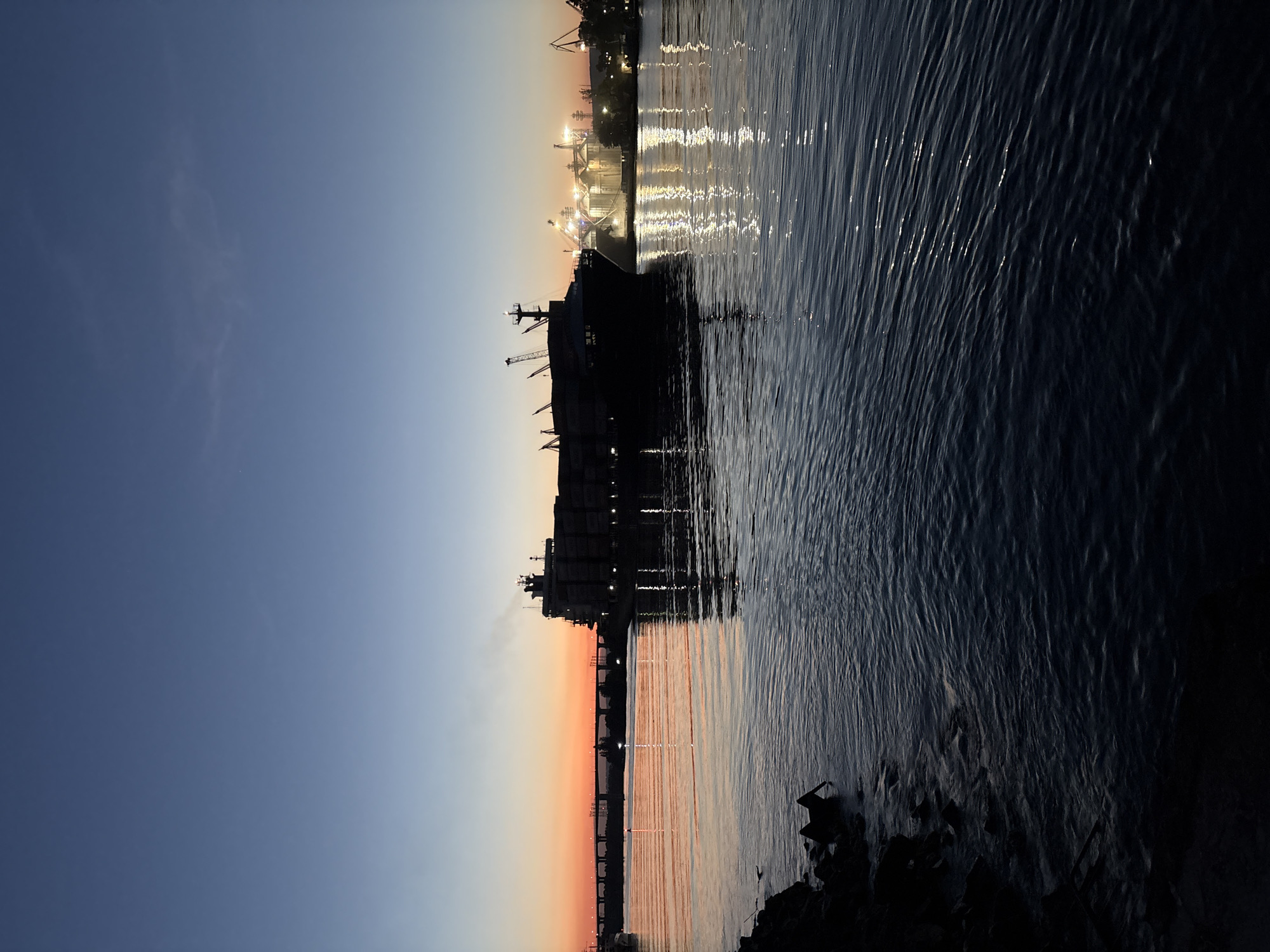 Evening wildlife and maritime activity documented in Varna