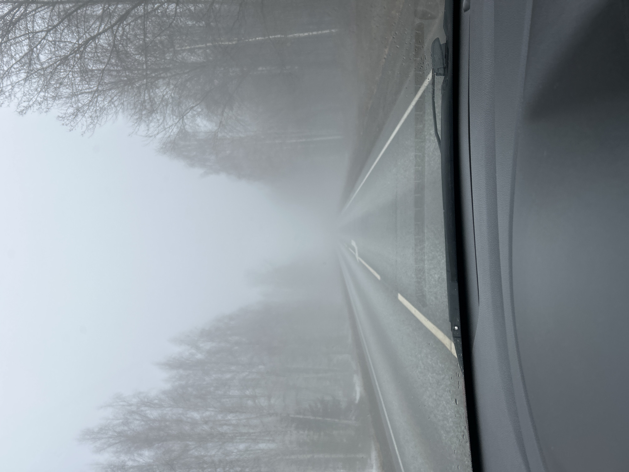 Driver navigates dense fog on wet Russian road
