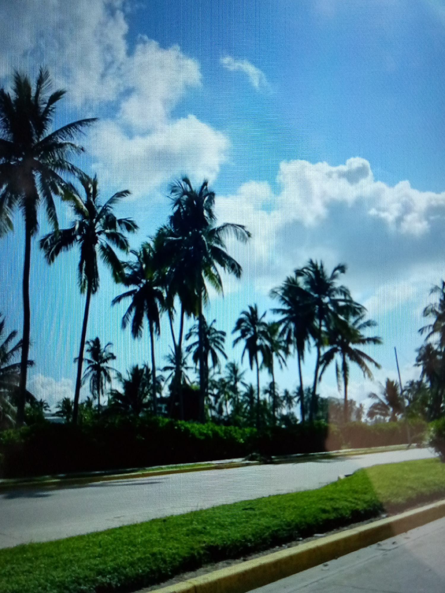 Tropical evening snapshots capture everyday life moments