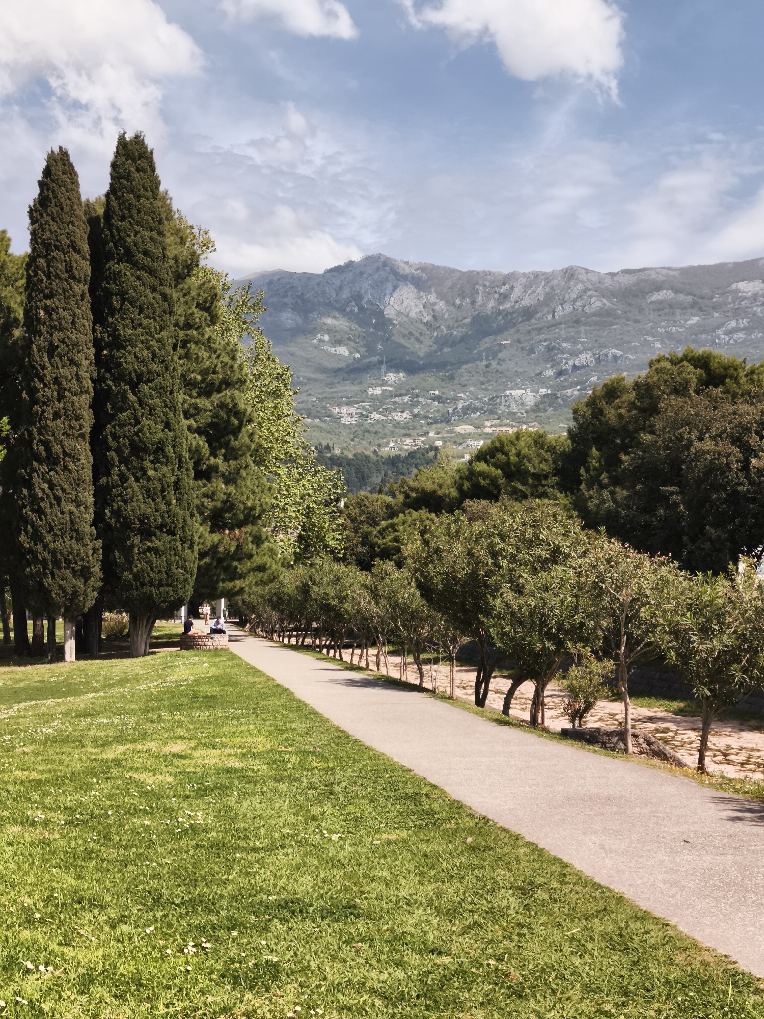 Spring scenes documented across parks, Montenegro street, coastal area