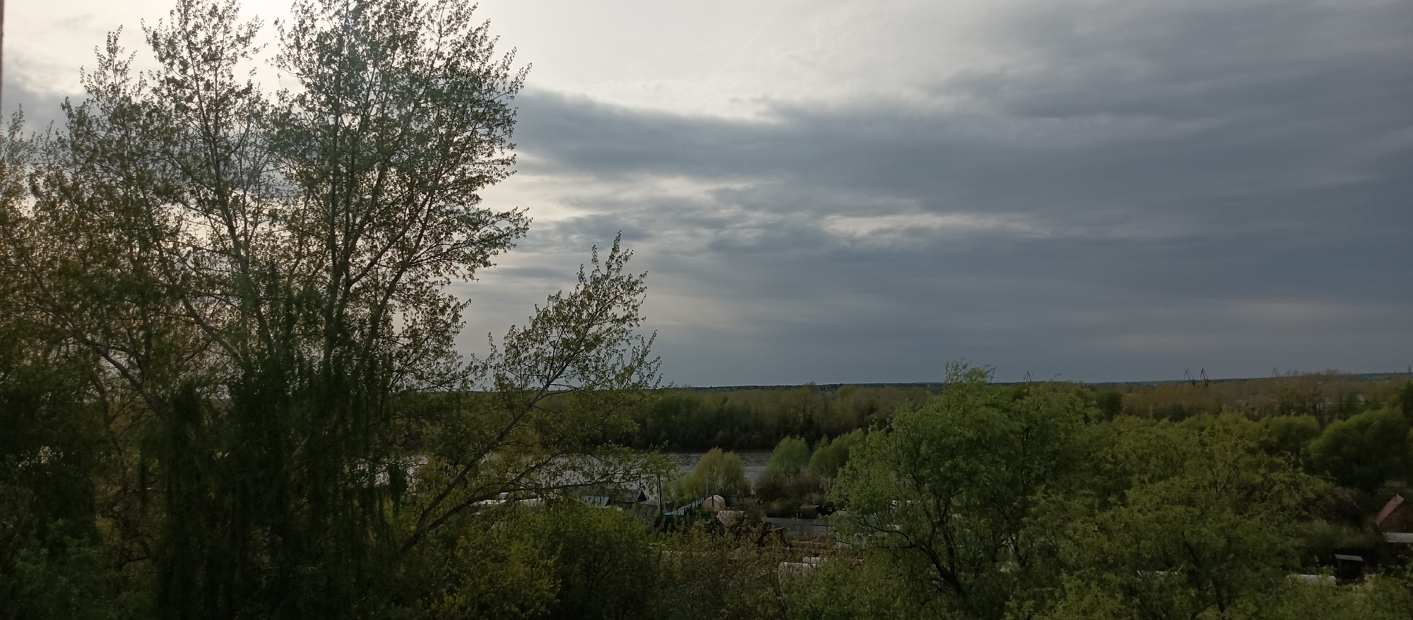 Domestic scenes and nature observations captured during overcast afternoon