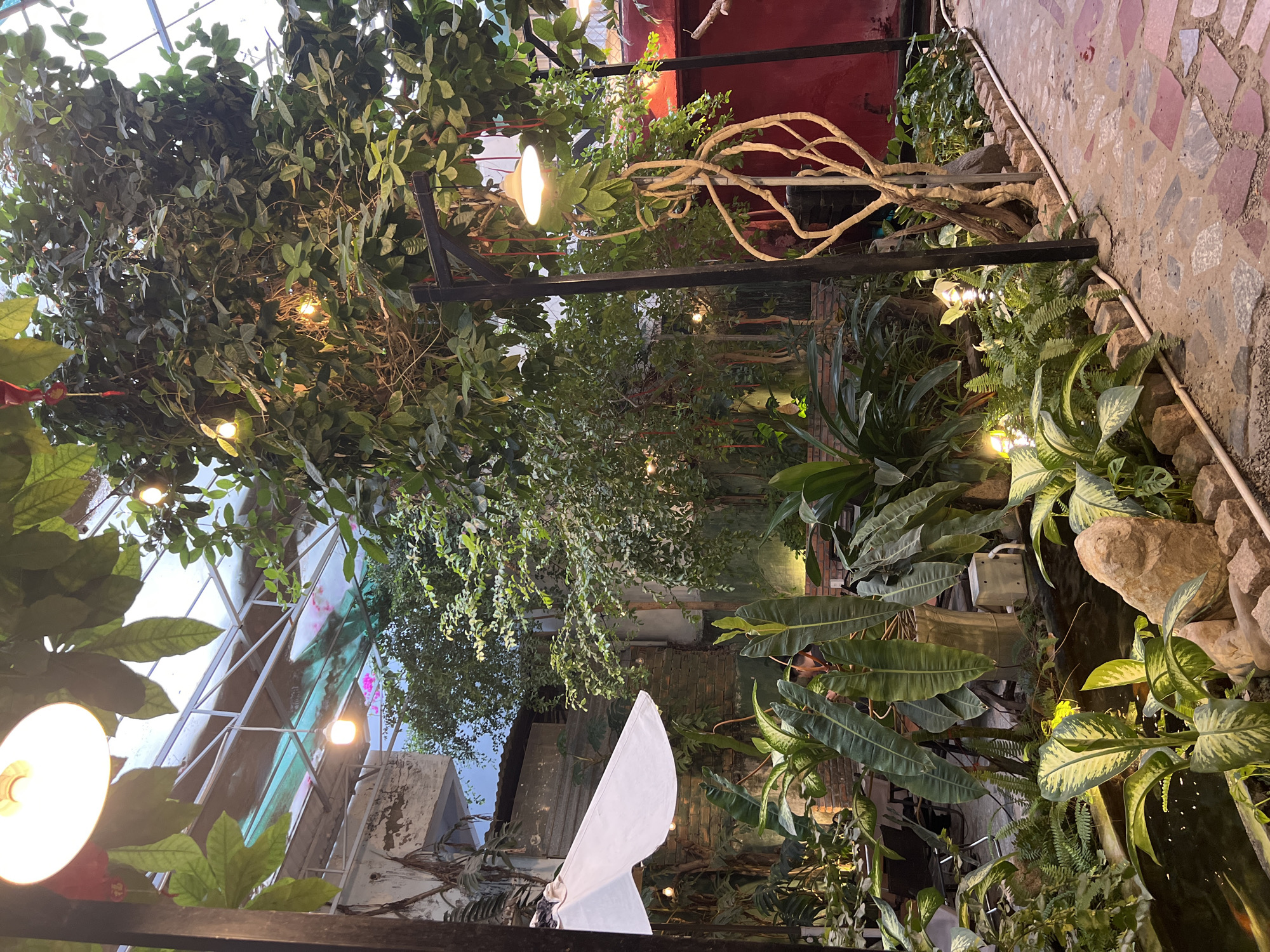 Indoor garden with vine-covered framework and string lights documented