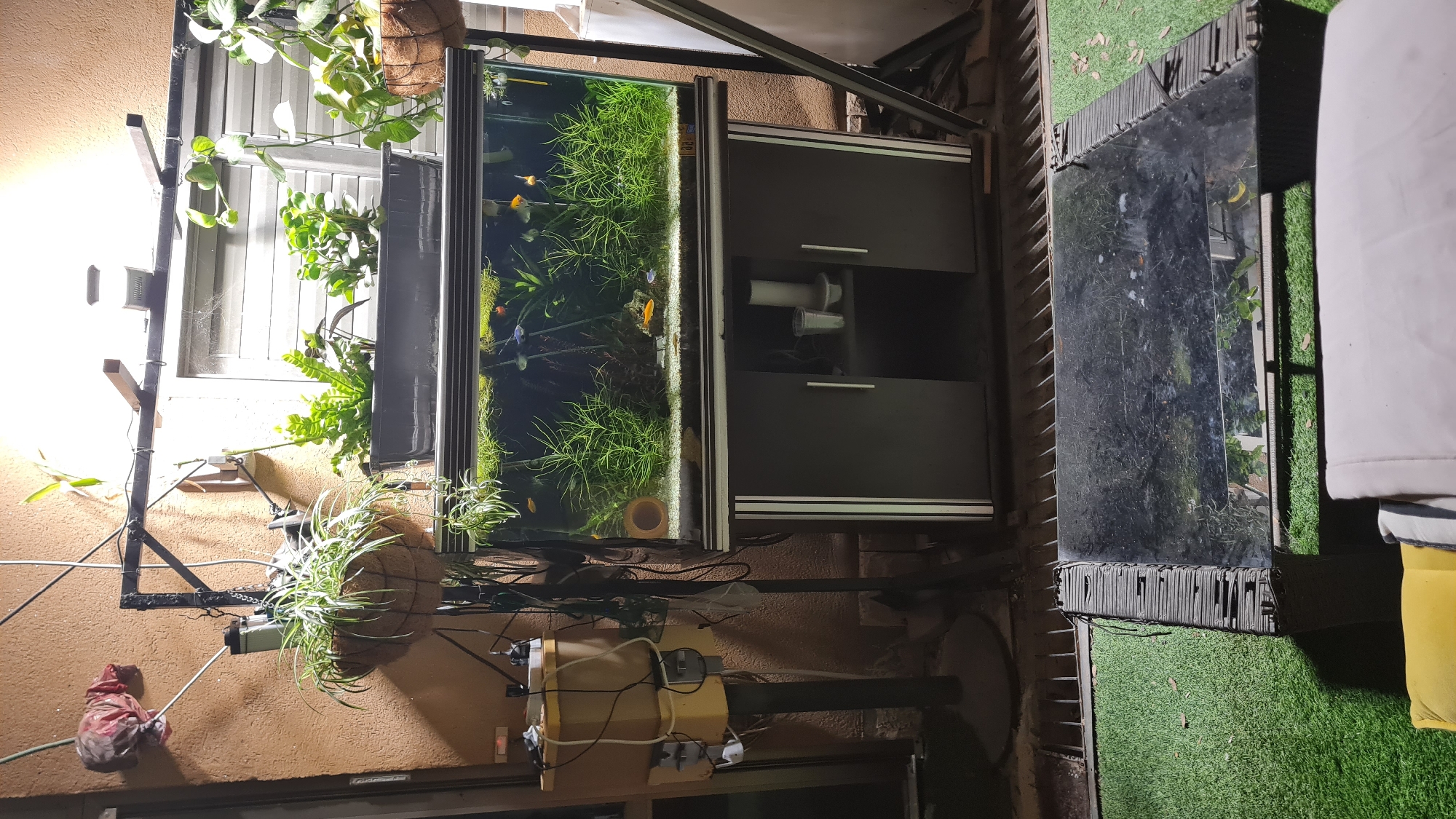 Easter celebrations documented in Israeli home over two hours
