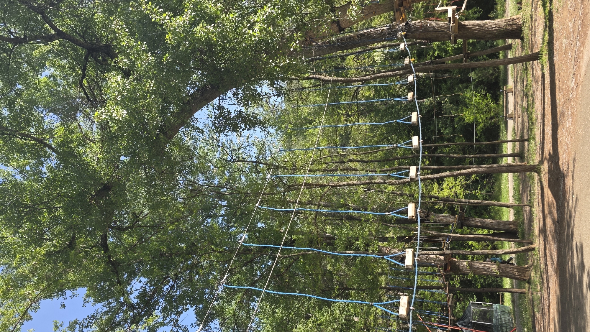 Adventure park with elevated rope course spotted in Blagoevgrad