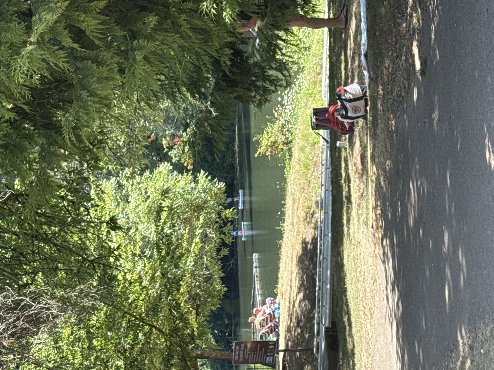 Summer day at Tigard's Cook Family Park, renovation underway