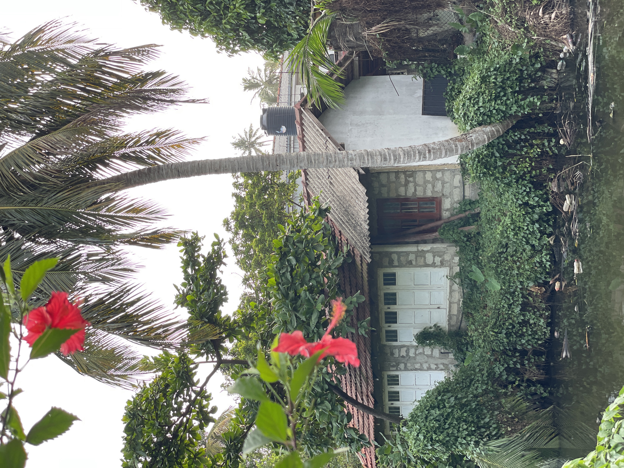 Walking tour captures tropical Mirissa scenery and architecture