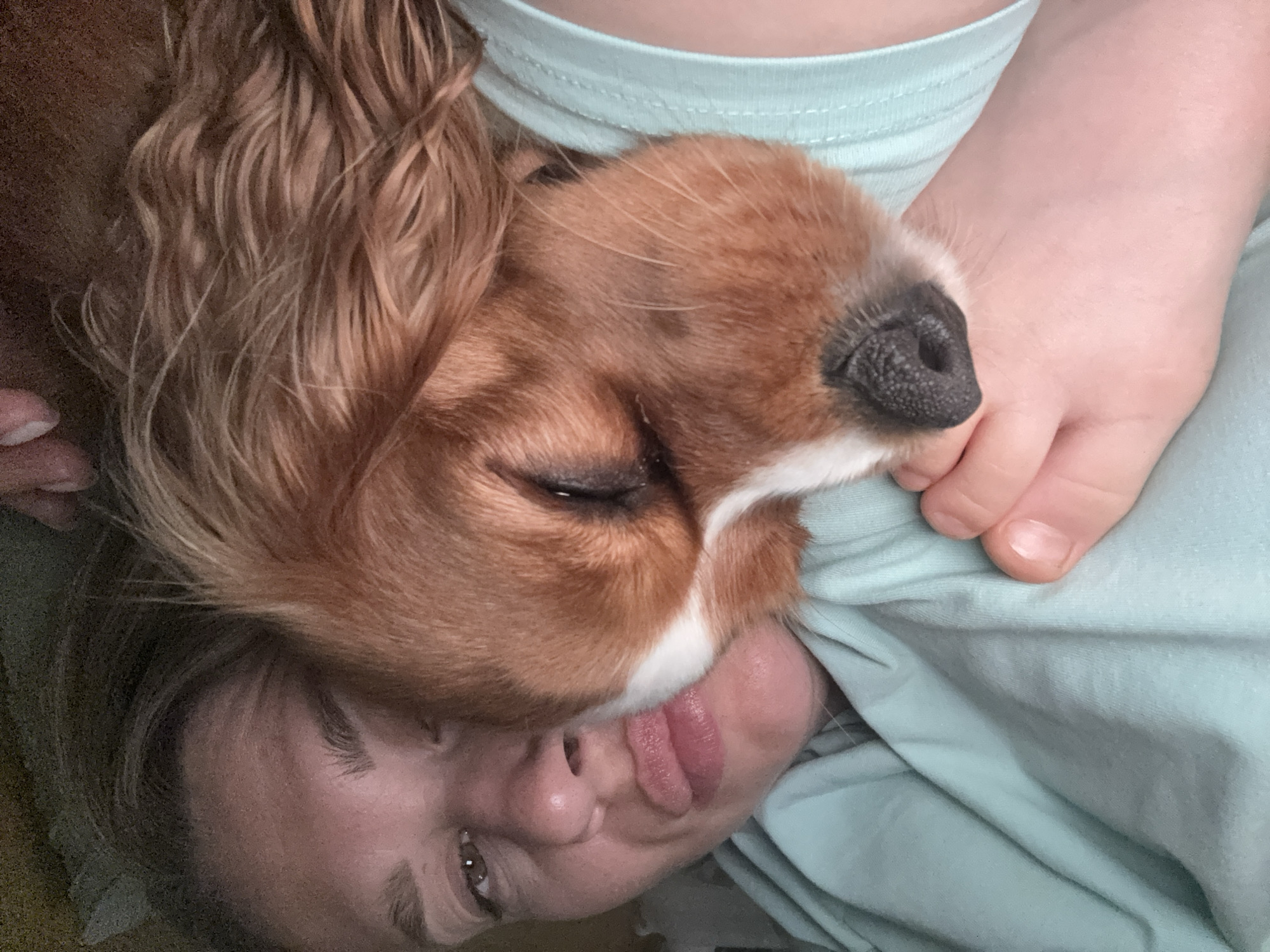 Family enjoys evening with pets and motorcycle rides in Novgorod