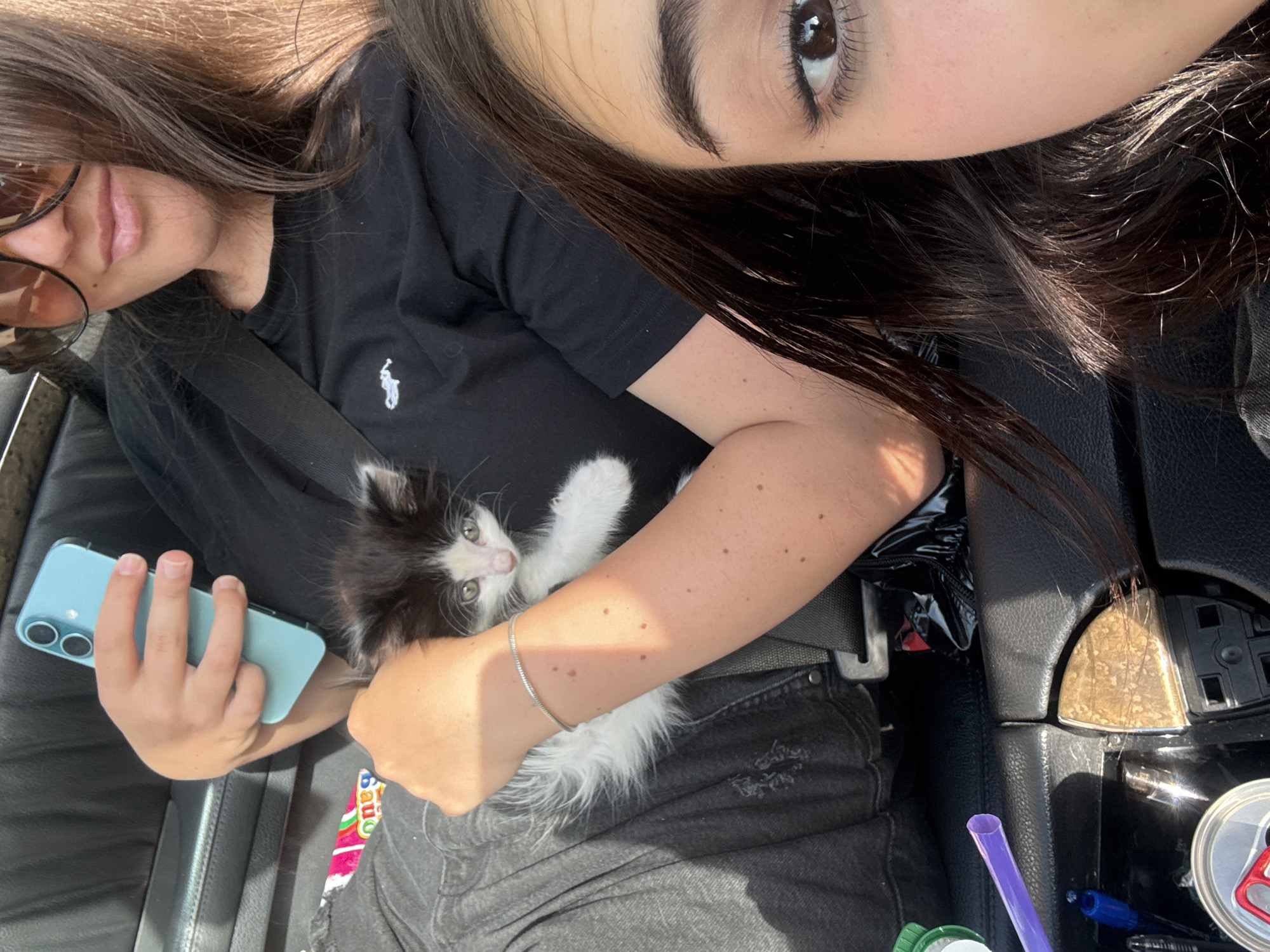 Travelers document kitten companion during Bulgaria road trip