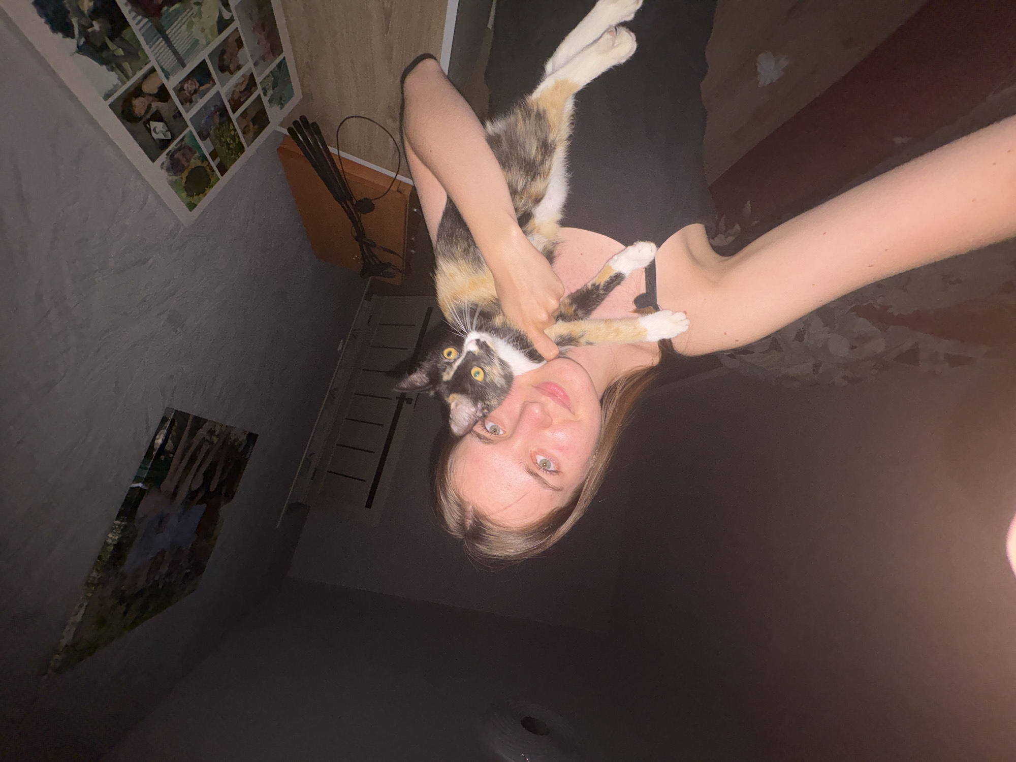 Woman and calico cat share quiet evening in Прикамский