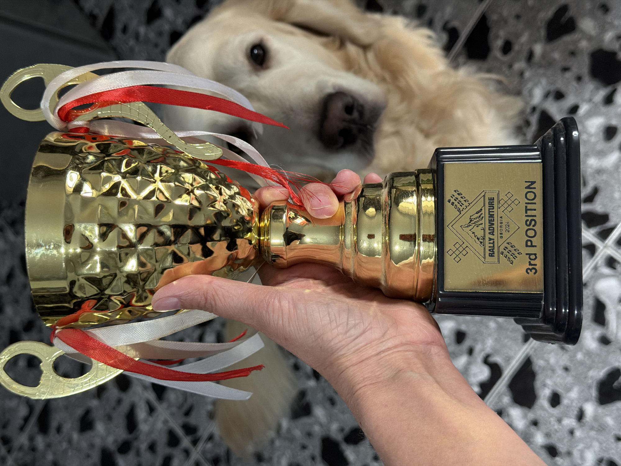Rally trophy and 3D-printed dog figurine displayed in Tbilisi