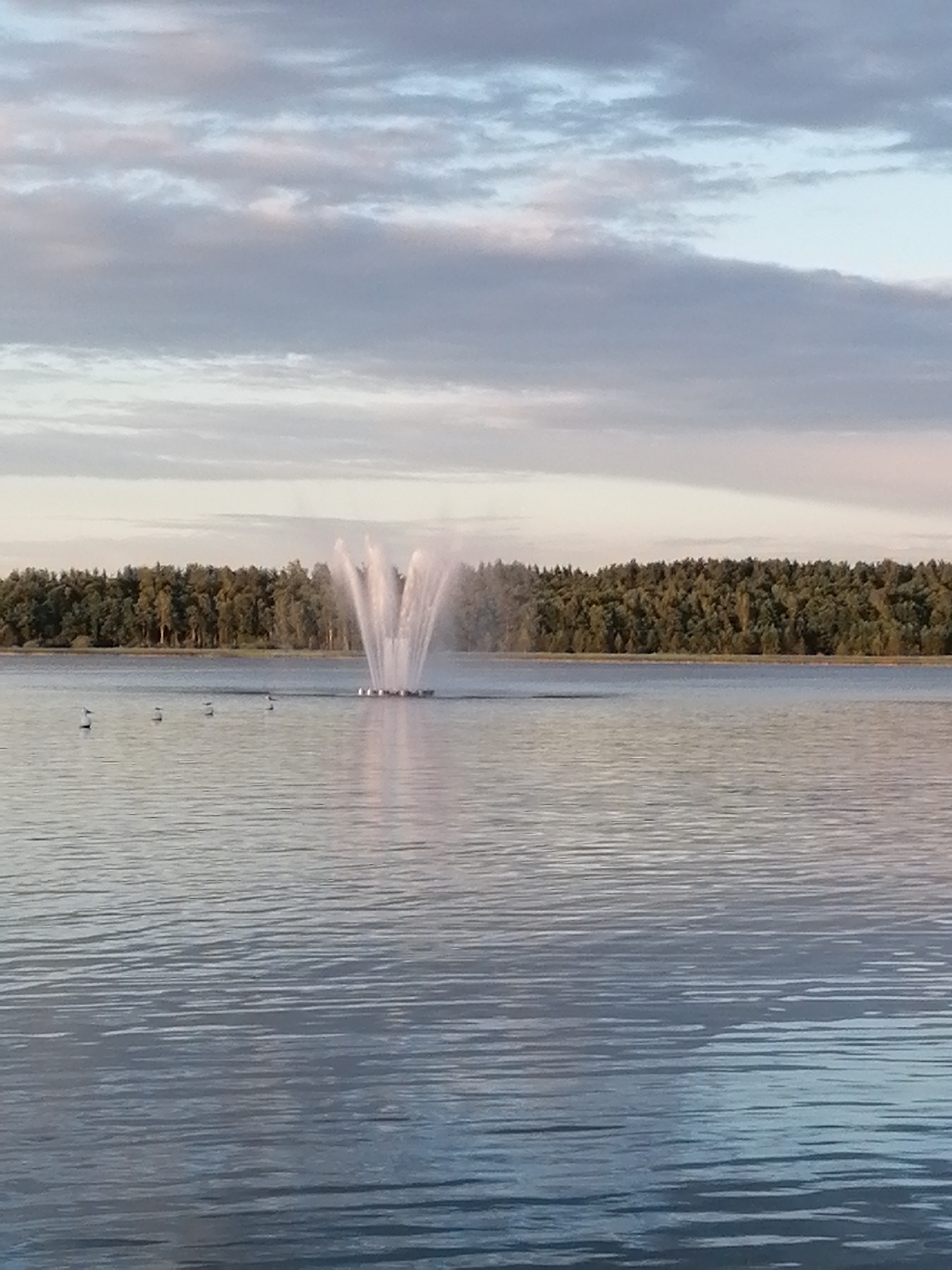 Live music and floral displays at a Daugavpils park event