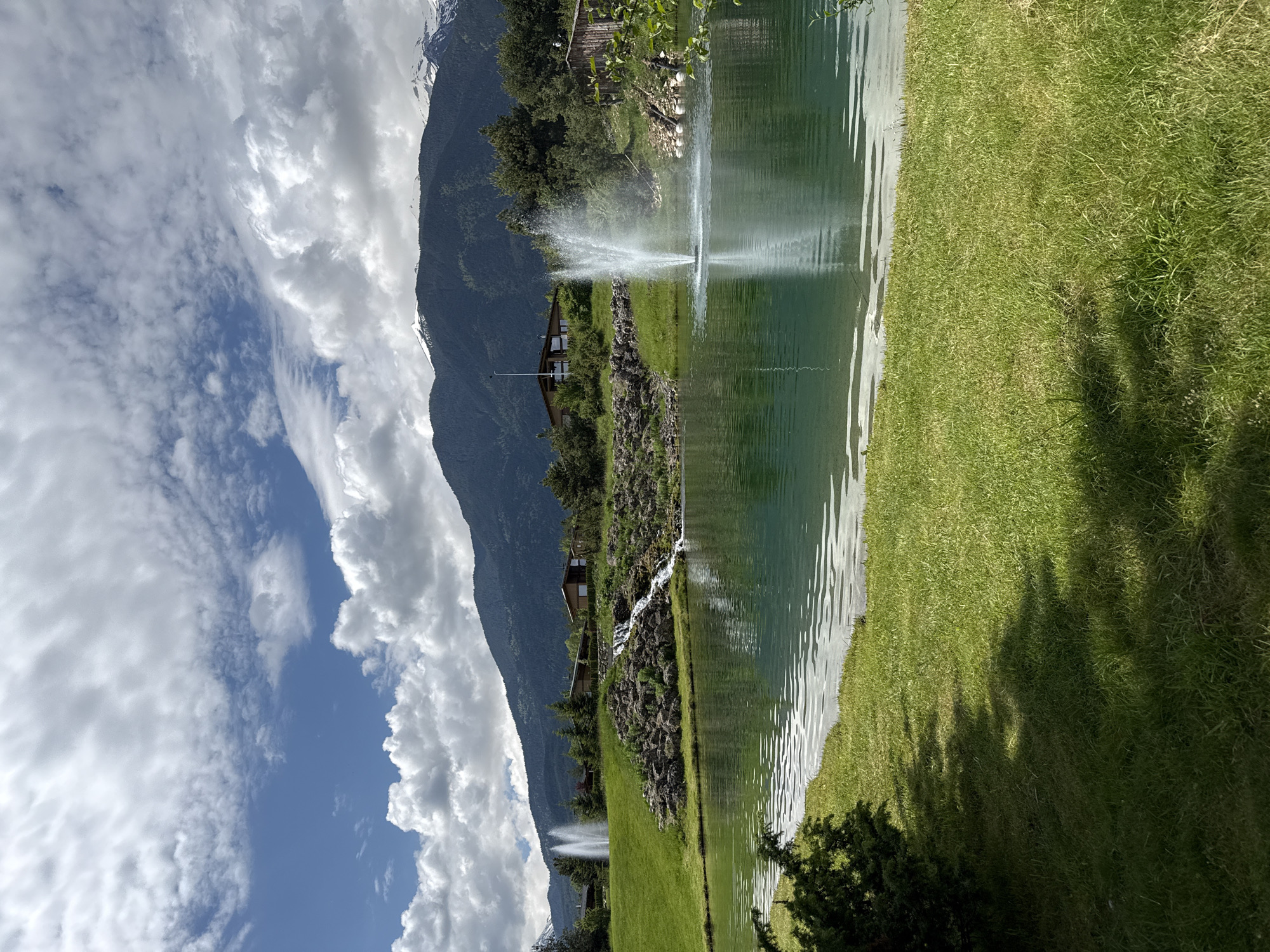 Morning scenes captured lakeside fountain and golf course swan