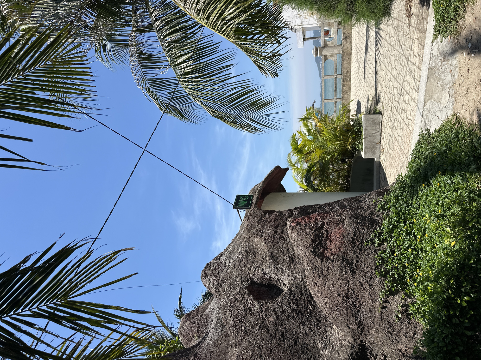 Morning journey through Nha Trang's streets and waterfront