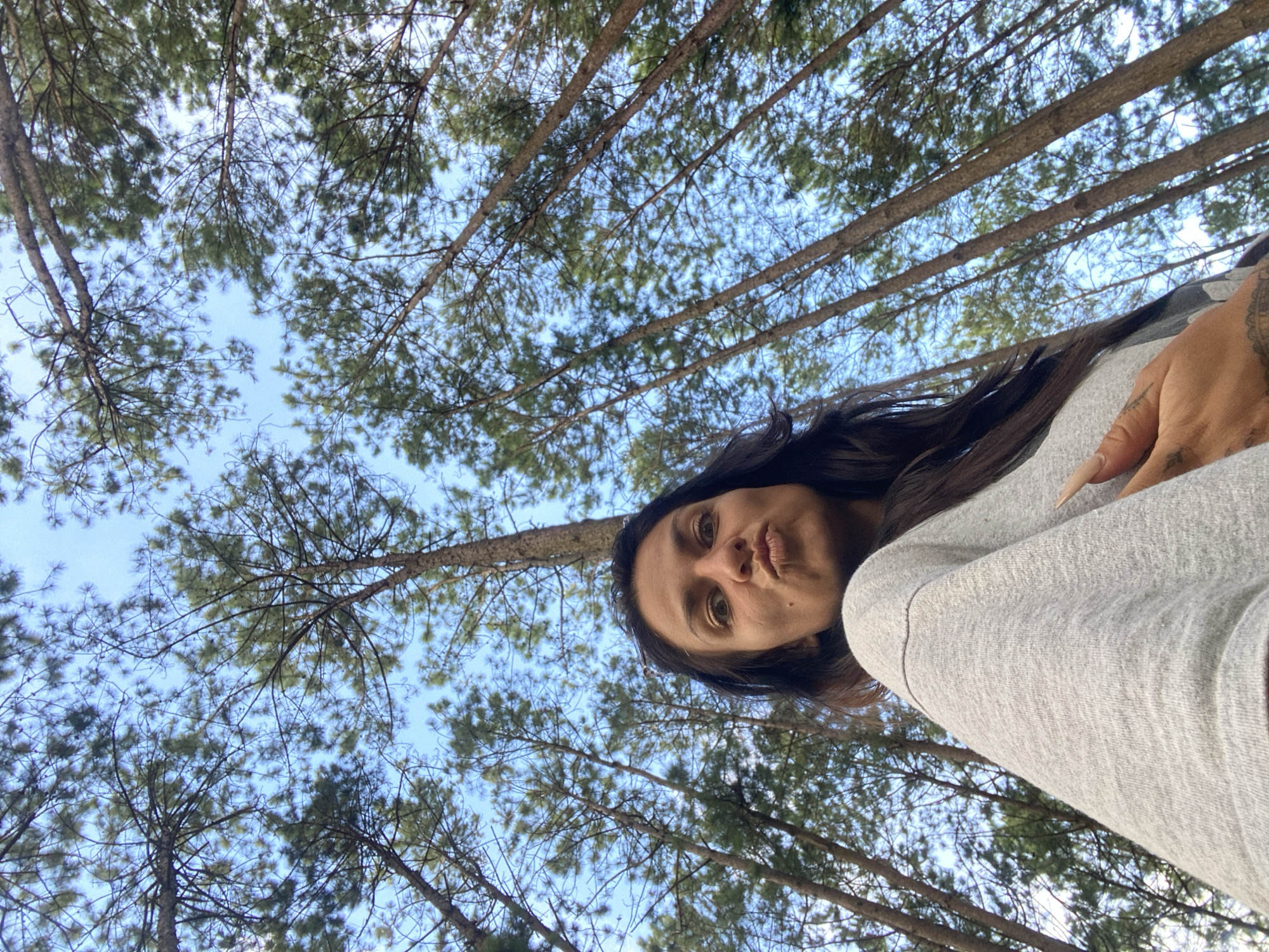 Afternoon hang in a Vietnamese pine forest, mushrooms and all