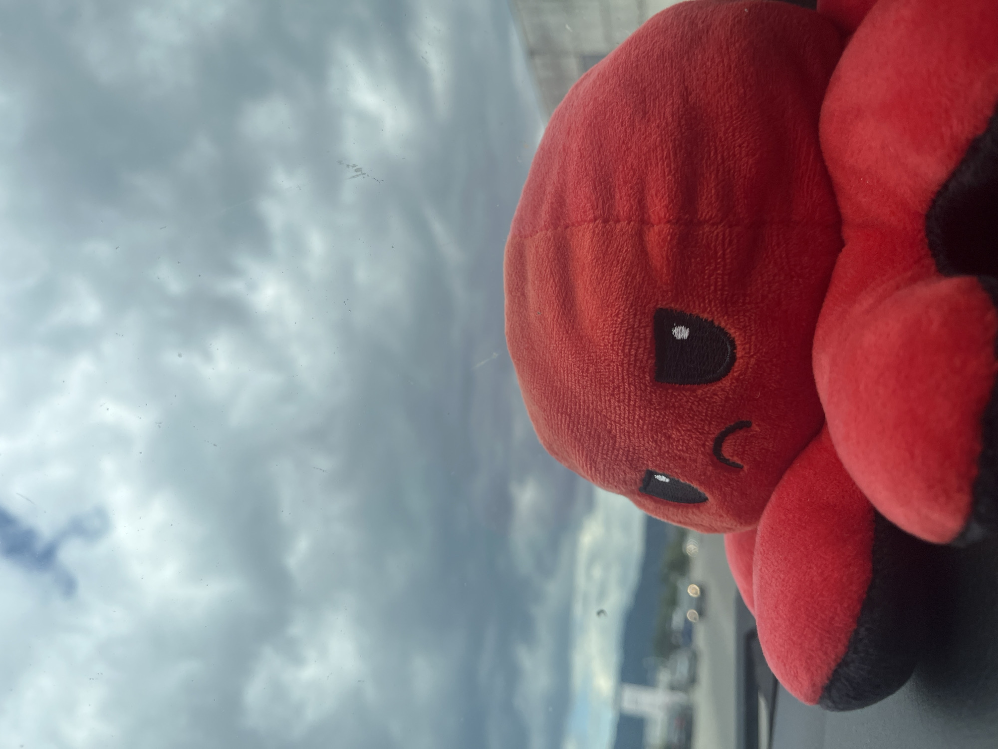 Red octopus plush toy on car dashboard in Bulgaria