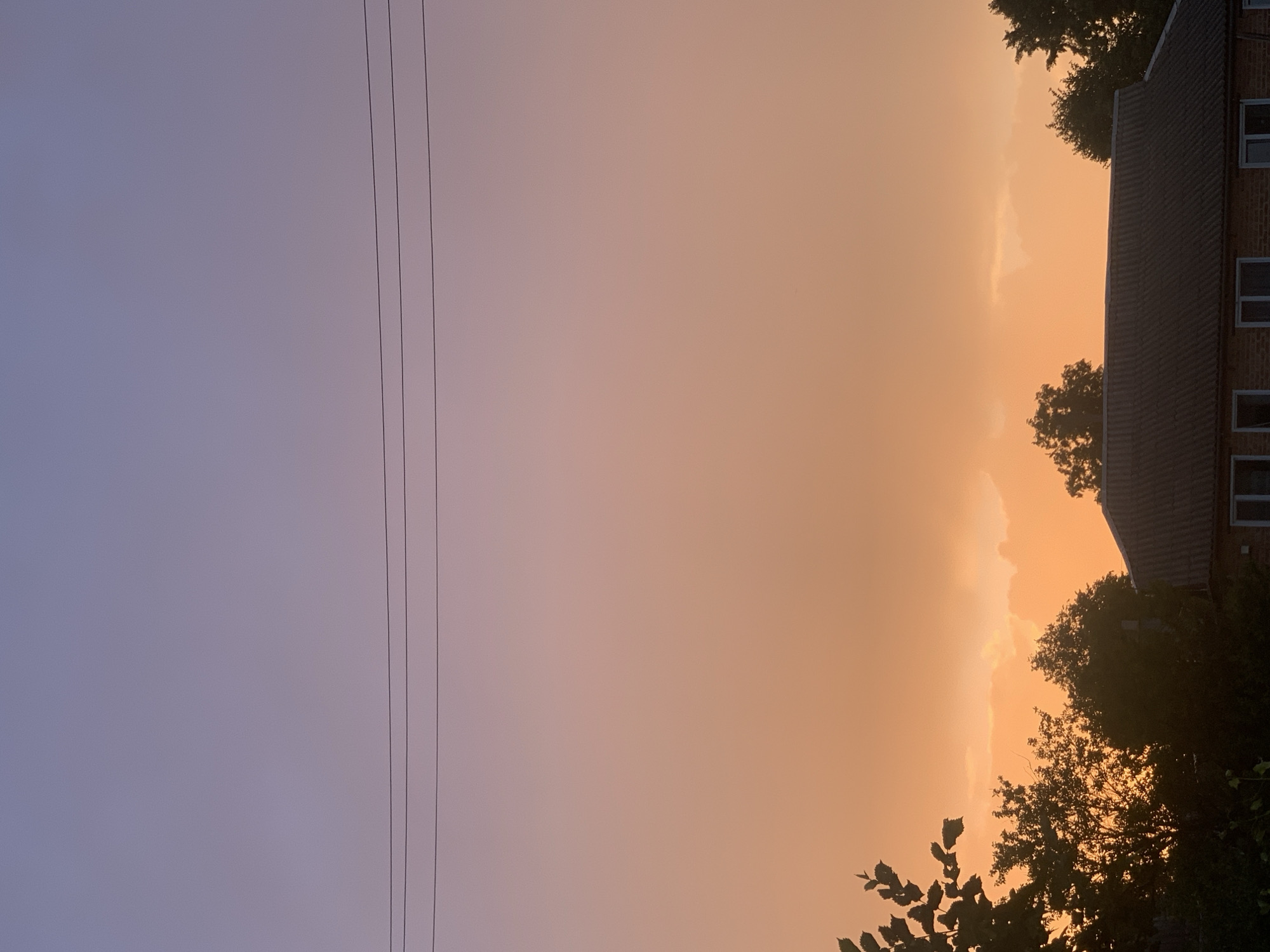 Sunset hour in a quiet neighborhood, cats and garden flowers included.